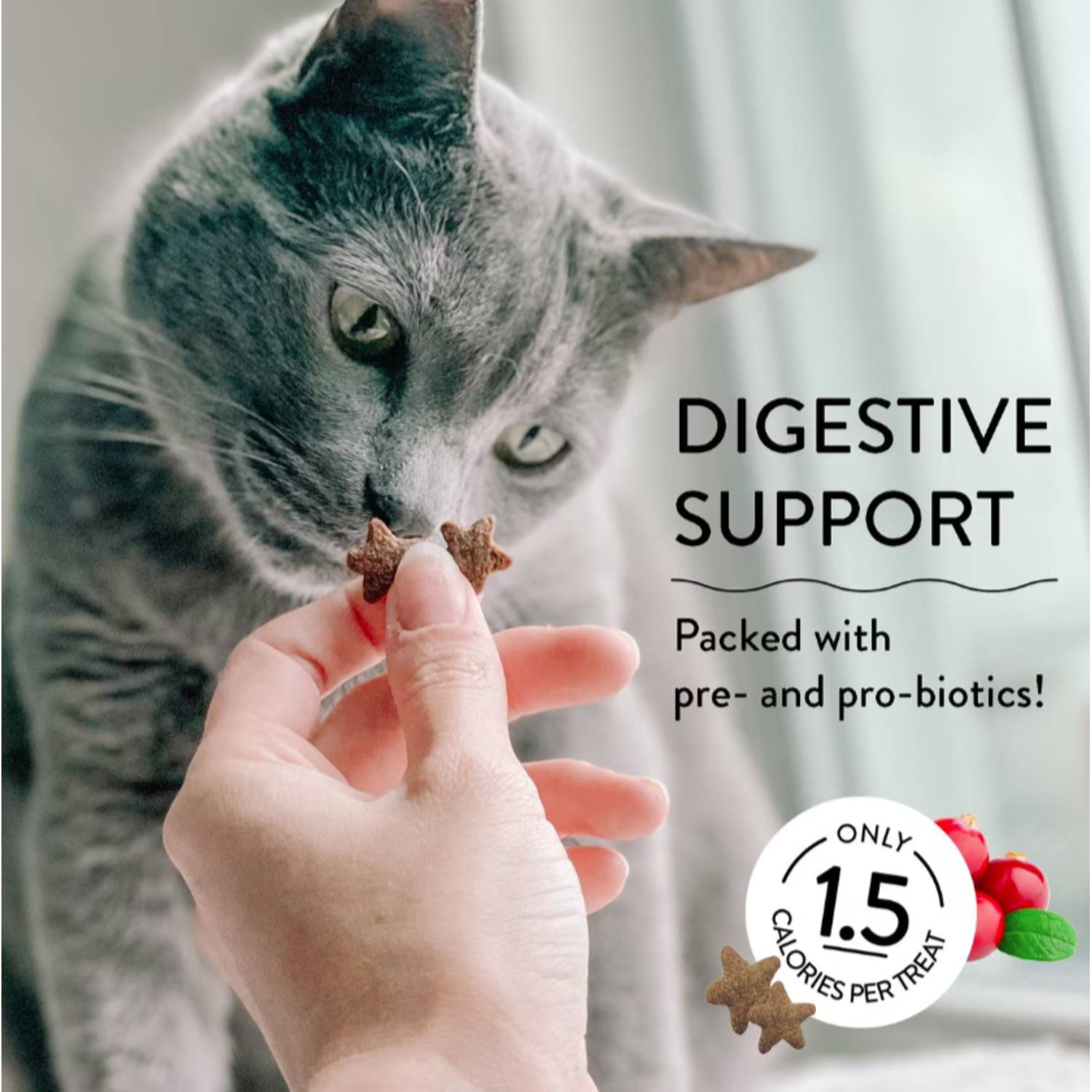 Shameless Pets Cran You Say Chicken Crunchy Cat Treats, 2.5Oz