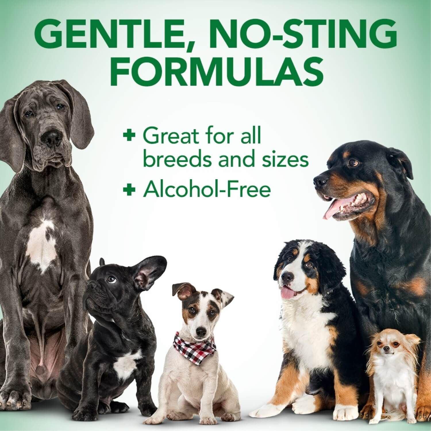 Vet's Best Multi Symptom Dog Ear Wash & Dry Cleaning Kit