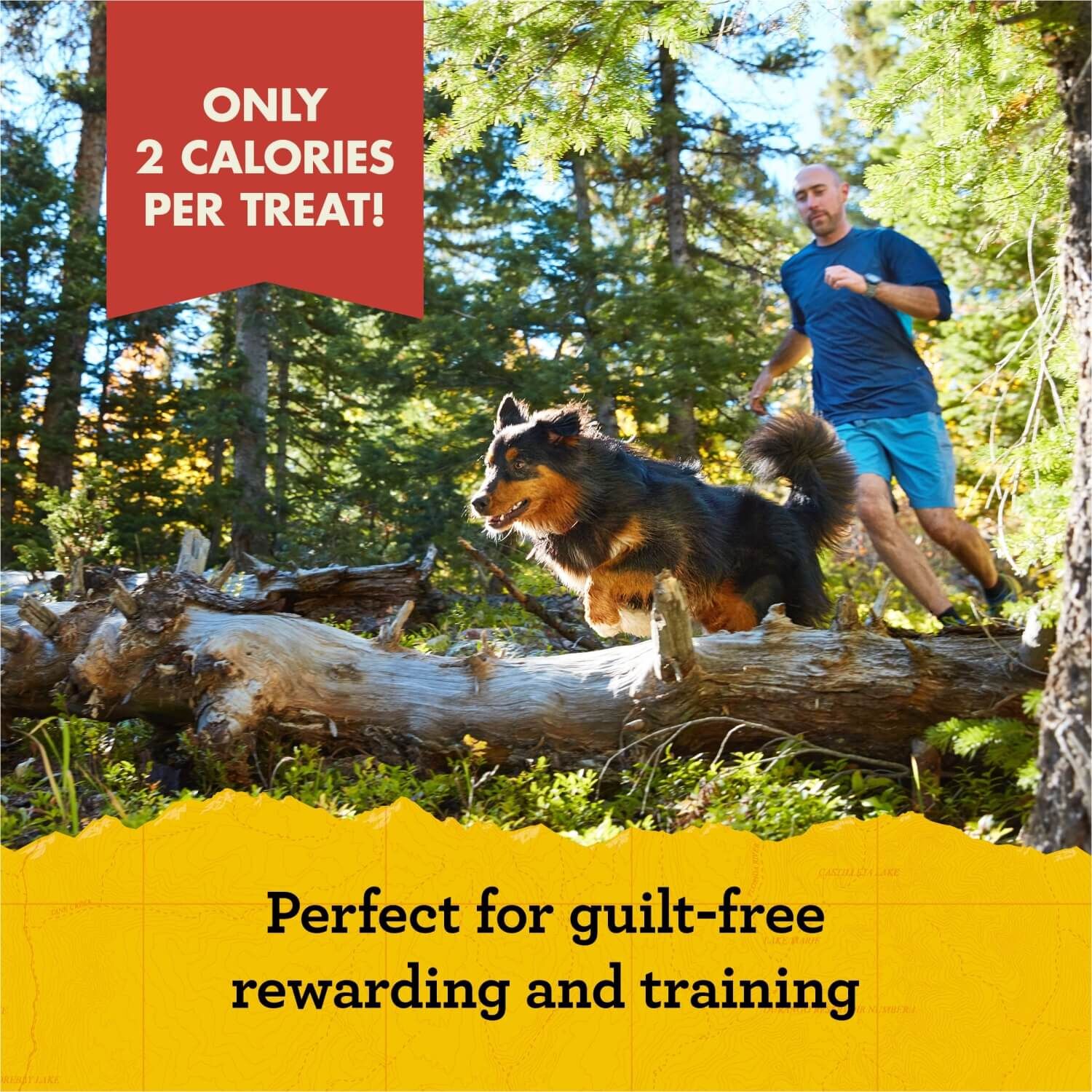Zuke's Mini Naturals Soft & Chewy Dog Training Treats With Beef