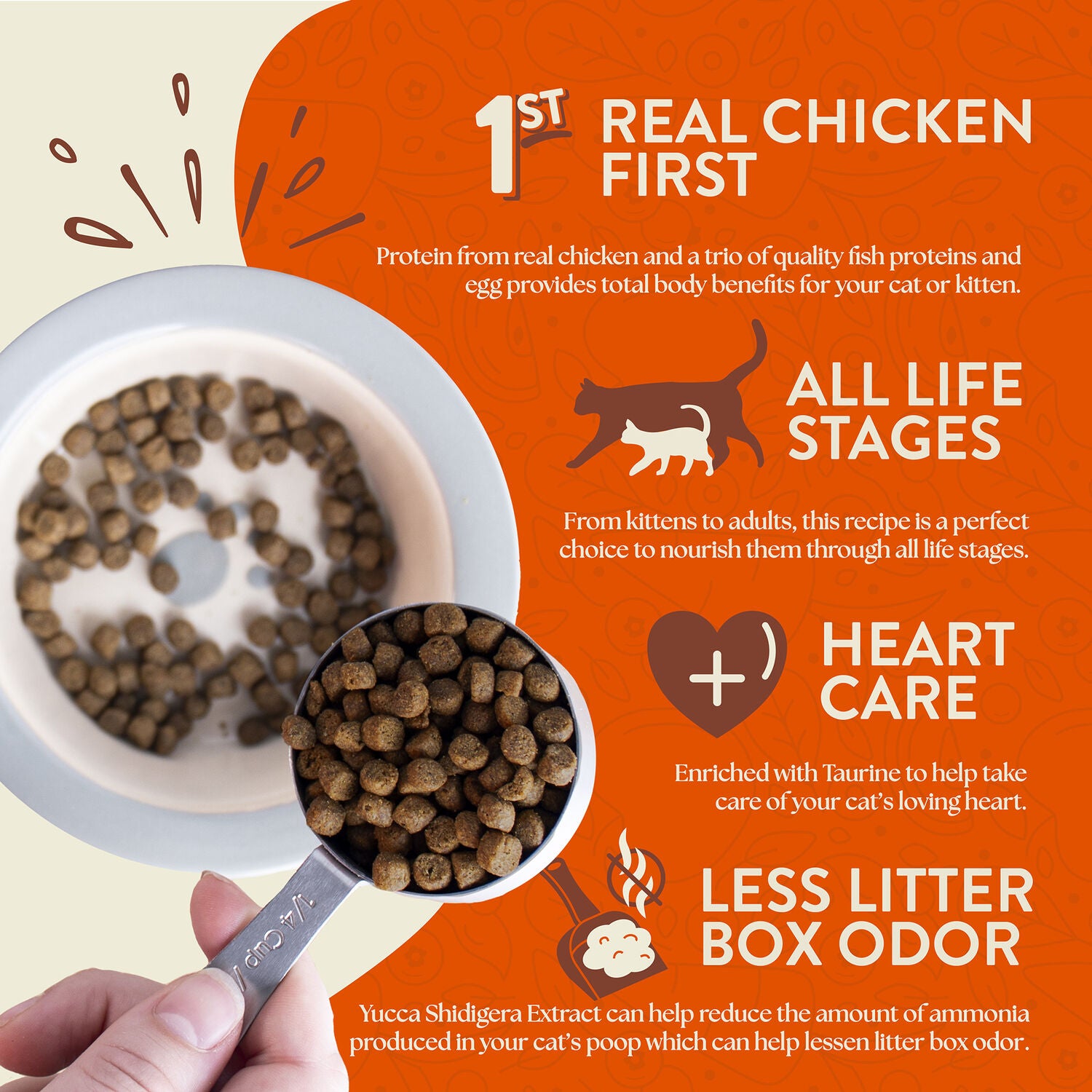 Earthborn Holistic Grain-Free Primitive Feline Indoor Formula Dry Cat Food, Chicken & Vegetables Recipe, 12.5Lbs
