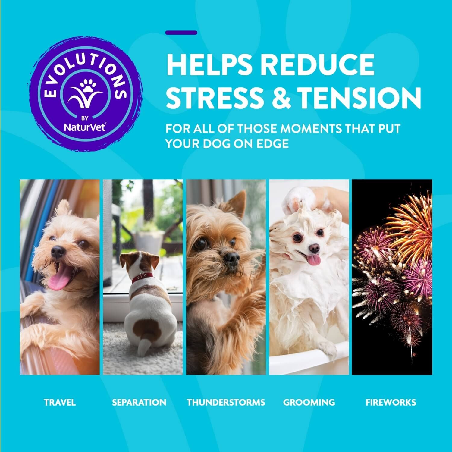 Naturvet Evolutions Advanced Calming Support Soft Chew Supplements For Dogs