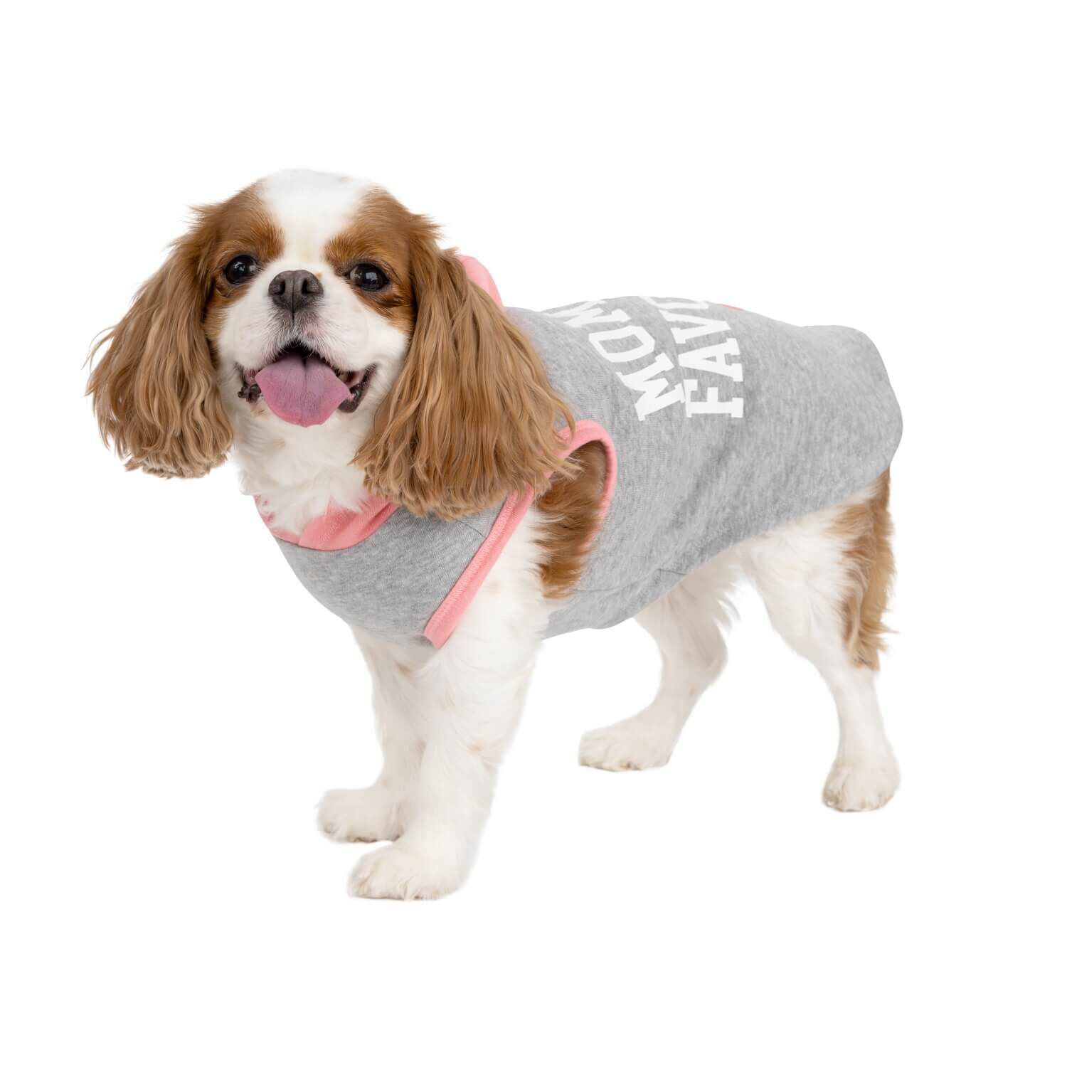 Simply Dog Mommy's Favorite Pink & Gray Dog Hoodie