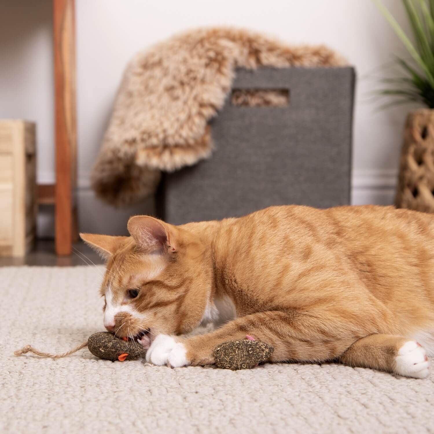 Instincts By Smartykat&reg; Mousy Mayhem Happynip Silvervine & Catnip Compressed Catnip Cat Toy, Set Of 2