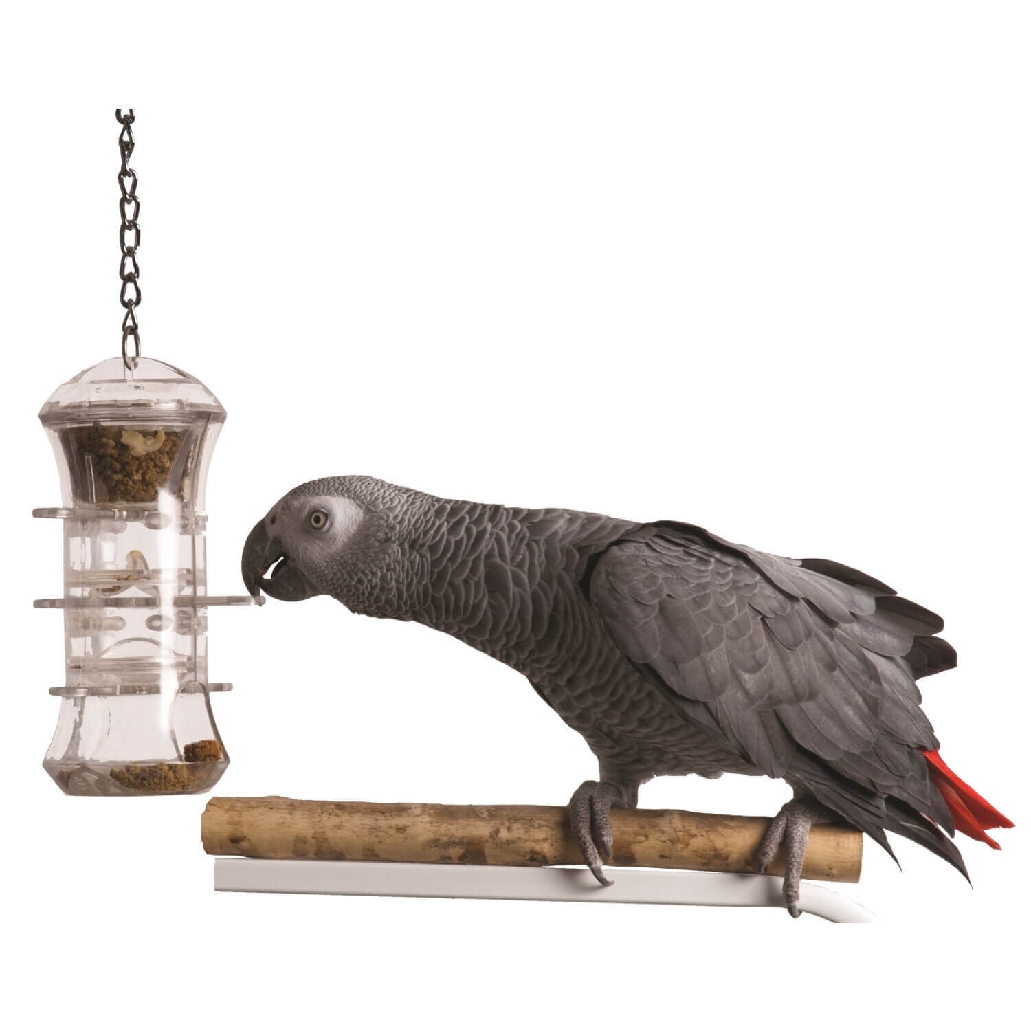 Caitec Push And Pull Forager Bird Toy