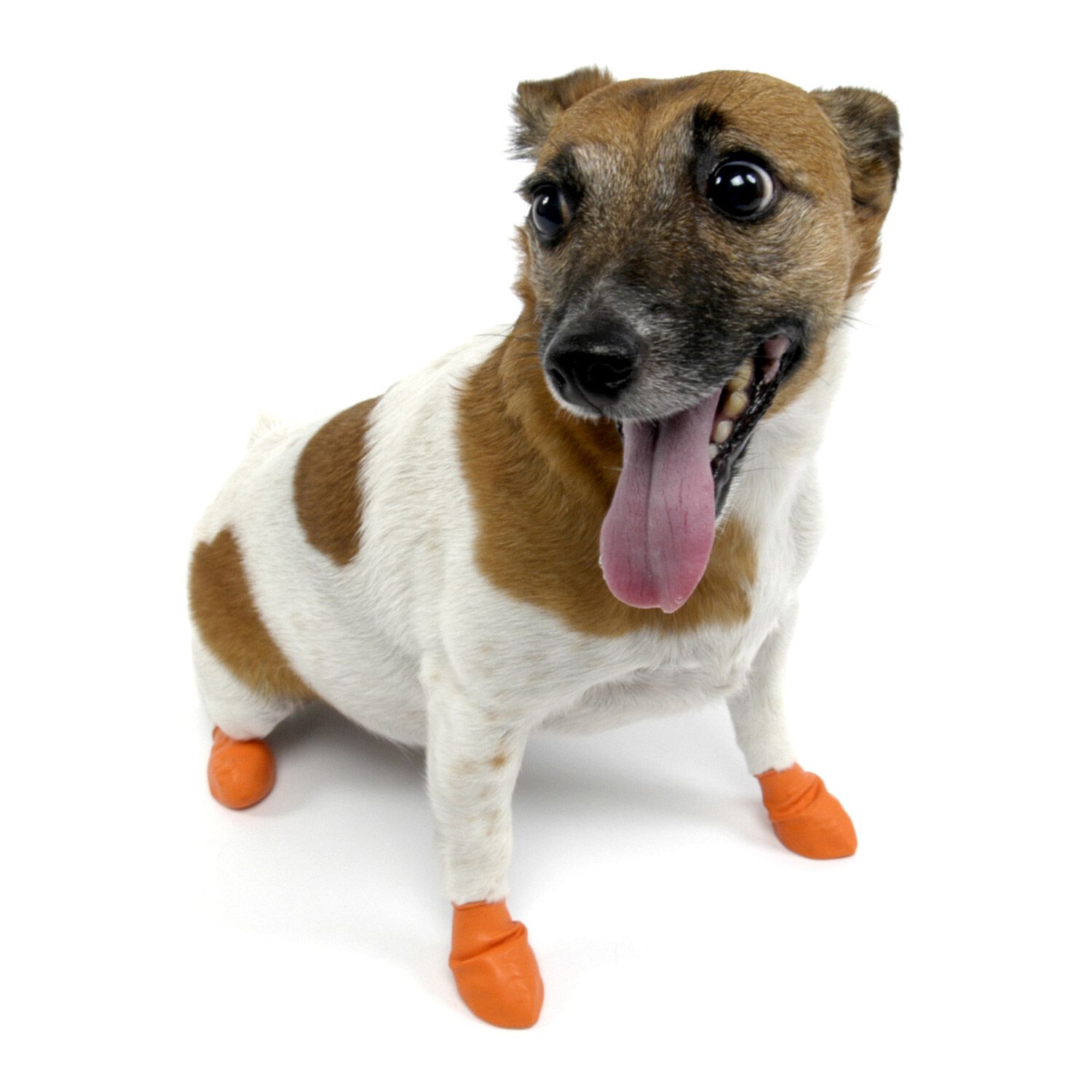 Pawz Rubber Waterproof Dog Boots, Tiny, Apple Green