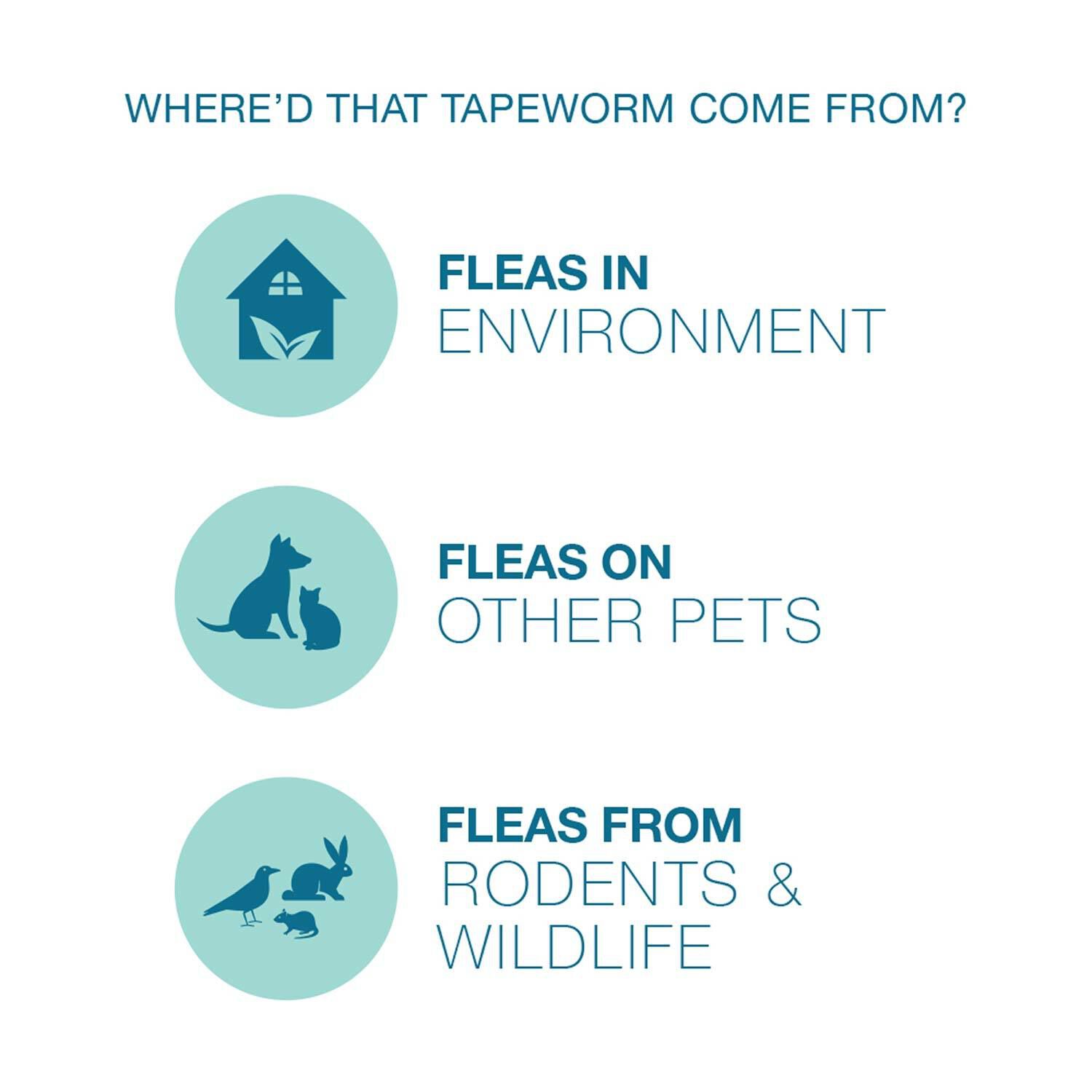 Elanco Tapeworm Dewormer For Cats