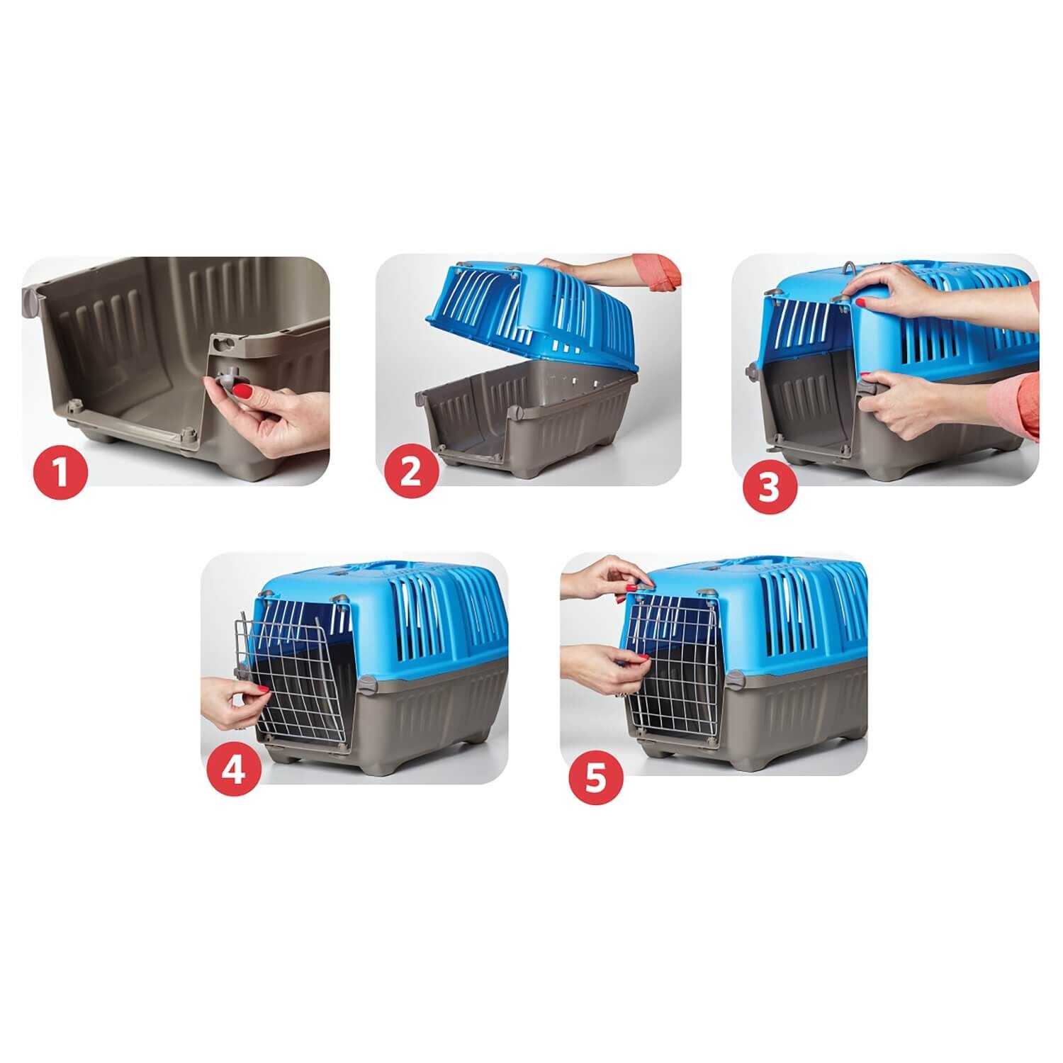 Midwest Spree Blue Plastic Hard-Sided Pet Carrier