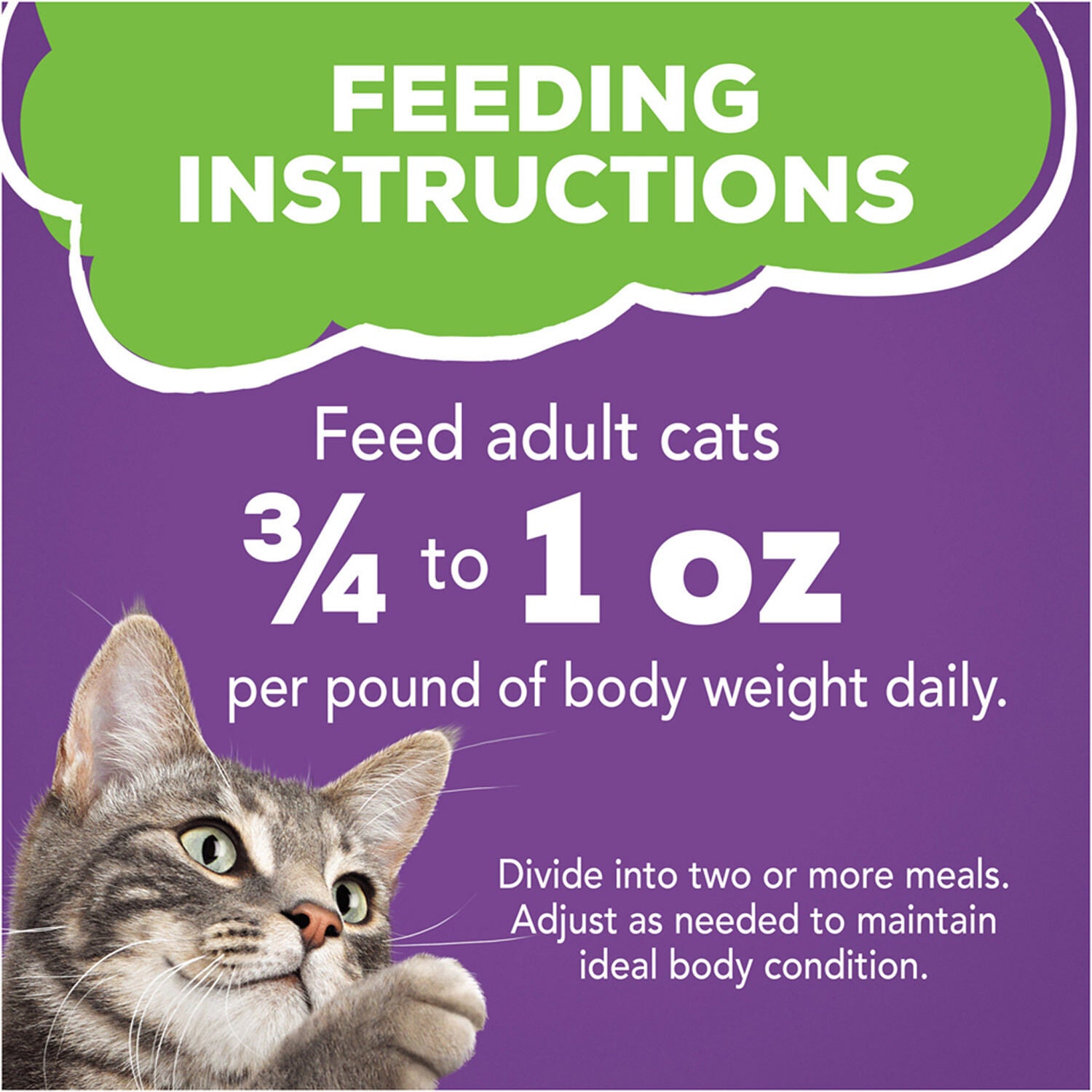 Friskies Turkey & Giblets Pate Wet Cat Food