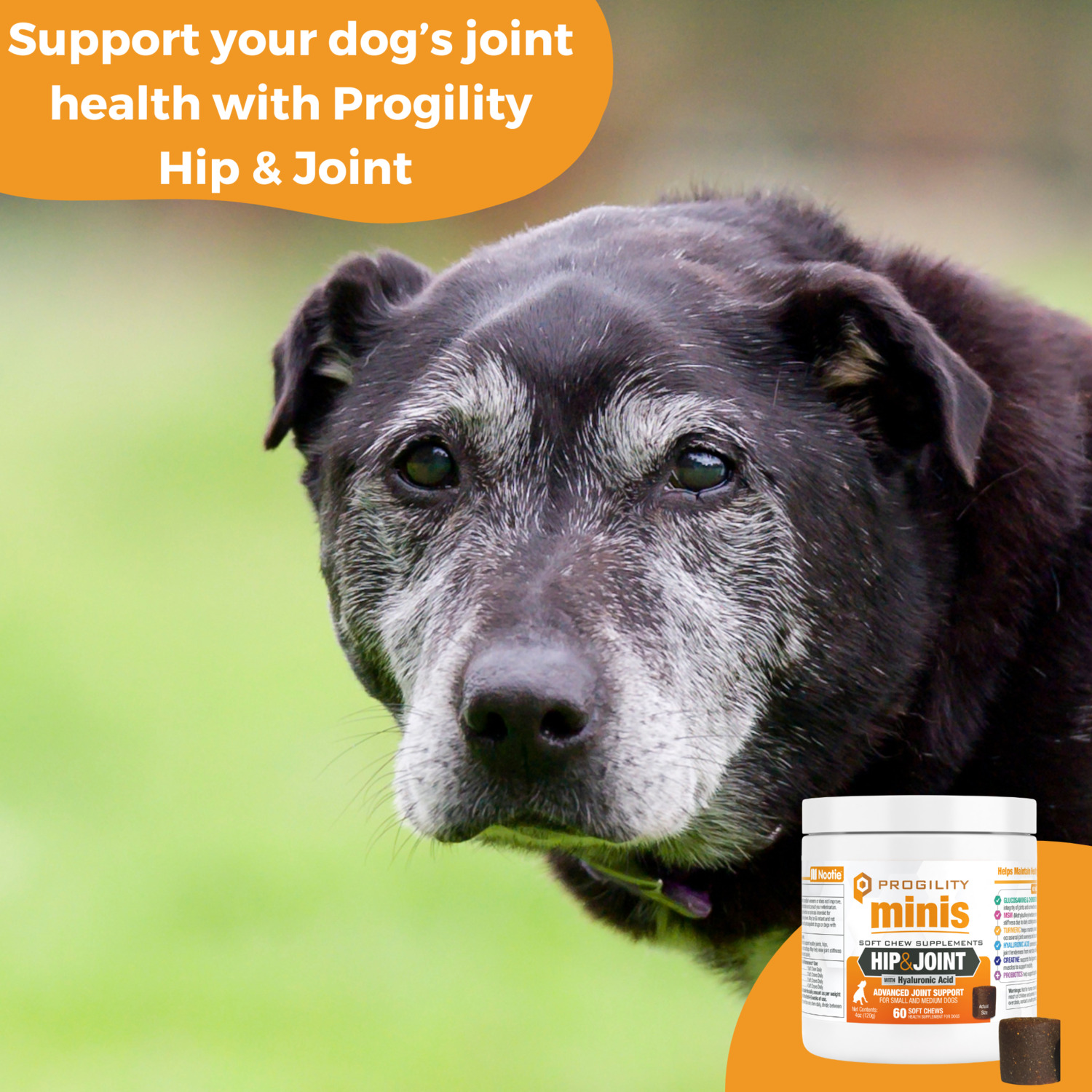 Progility Mini Hip & Joint Small & Medium Breeds Soft Chew Dog Supplements, 60Ct