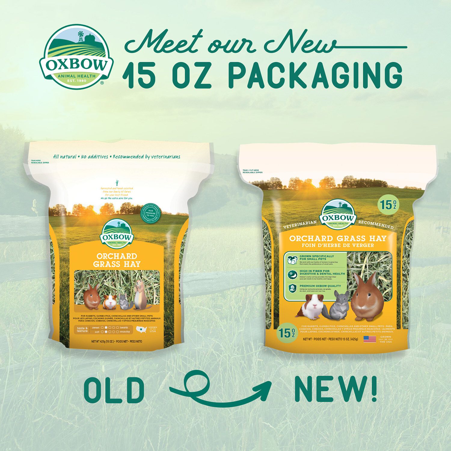 Oxbow Orchard Grass Hay For Small Animals