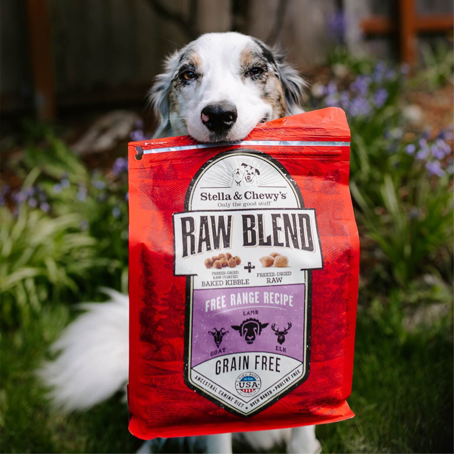 Stella & Chewy's Raw Blend Freeze Dried Raw Coated Baked Kibble Dry Dog Food Free-Range Recipe With Lamb, Goat, & Elk