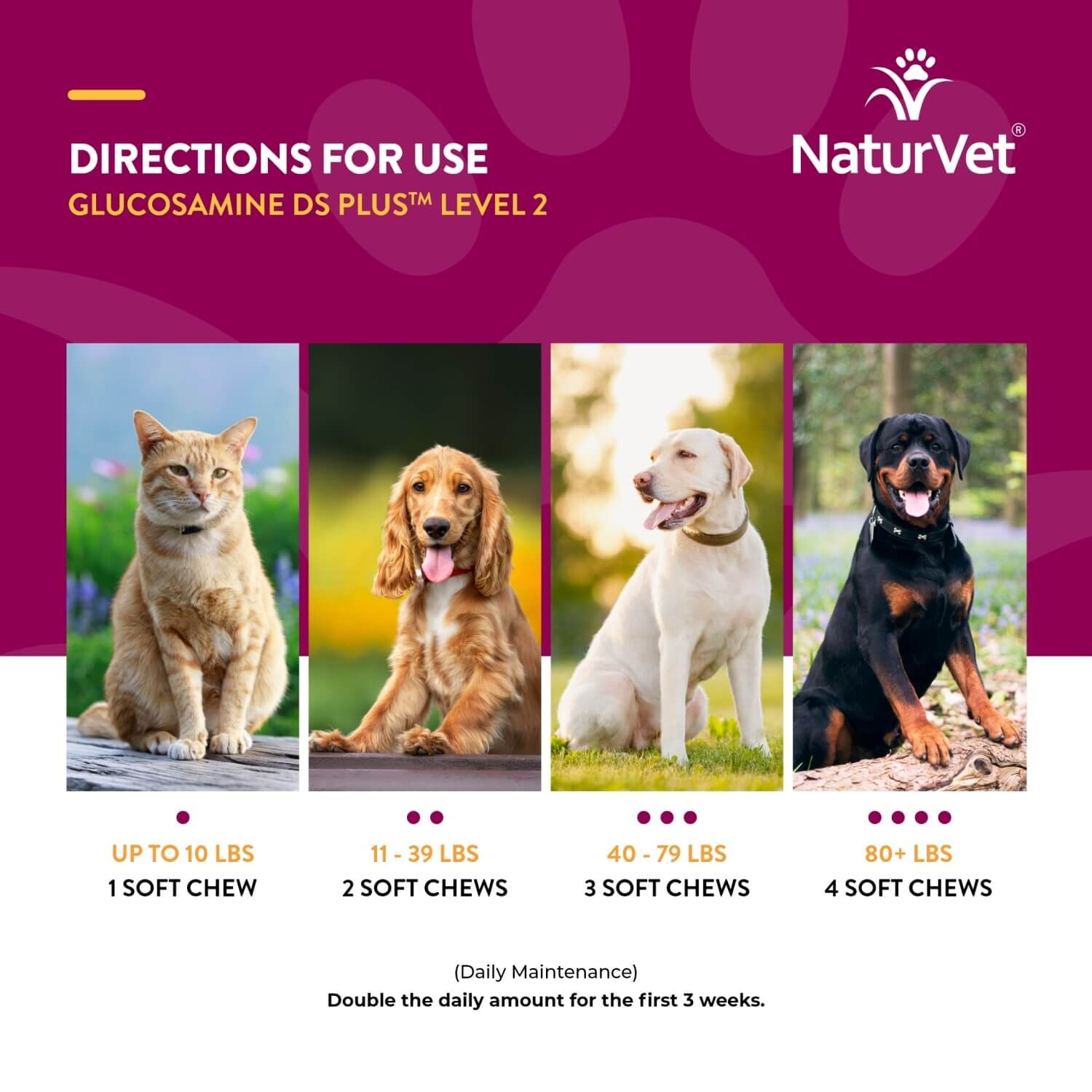 Naturvet Glucosamine Ds +Chondroitin & Msm Moderate Joint Care Soft Chew Supplements For Dogs & Cats