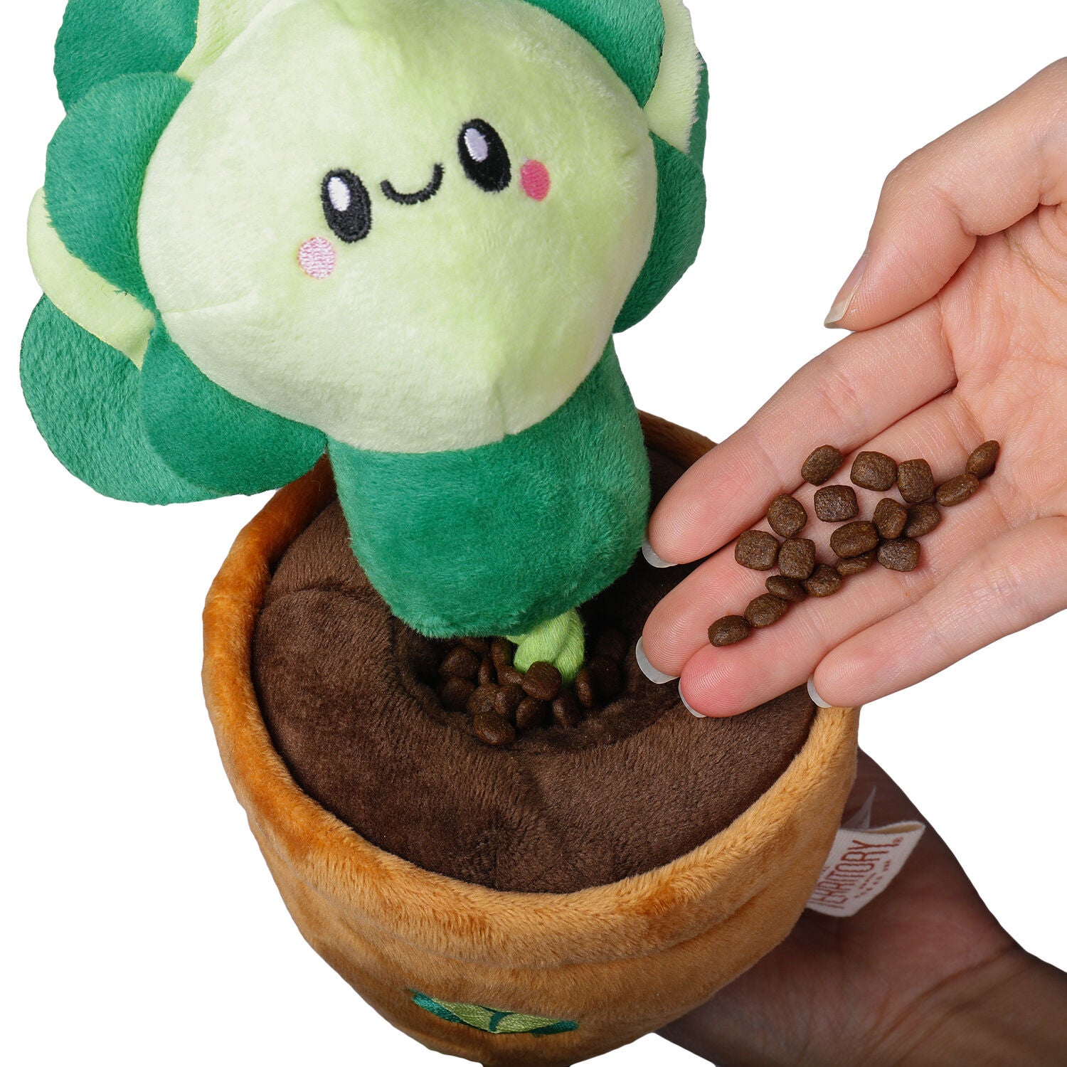 Territory Lettuce Treat-And-Tug Dog Toy, 15"