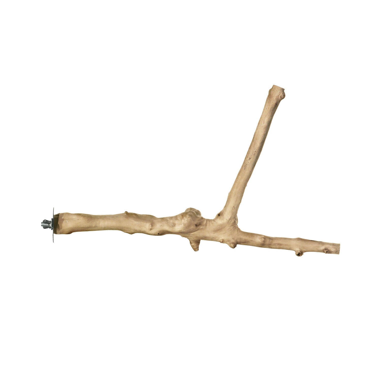 Prevue Y-Branch Coffea Wood Bird Perch For Birds