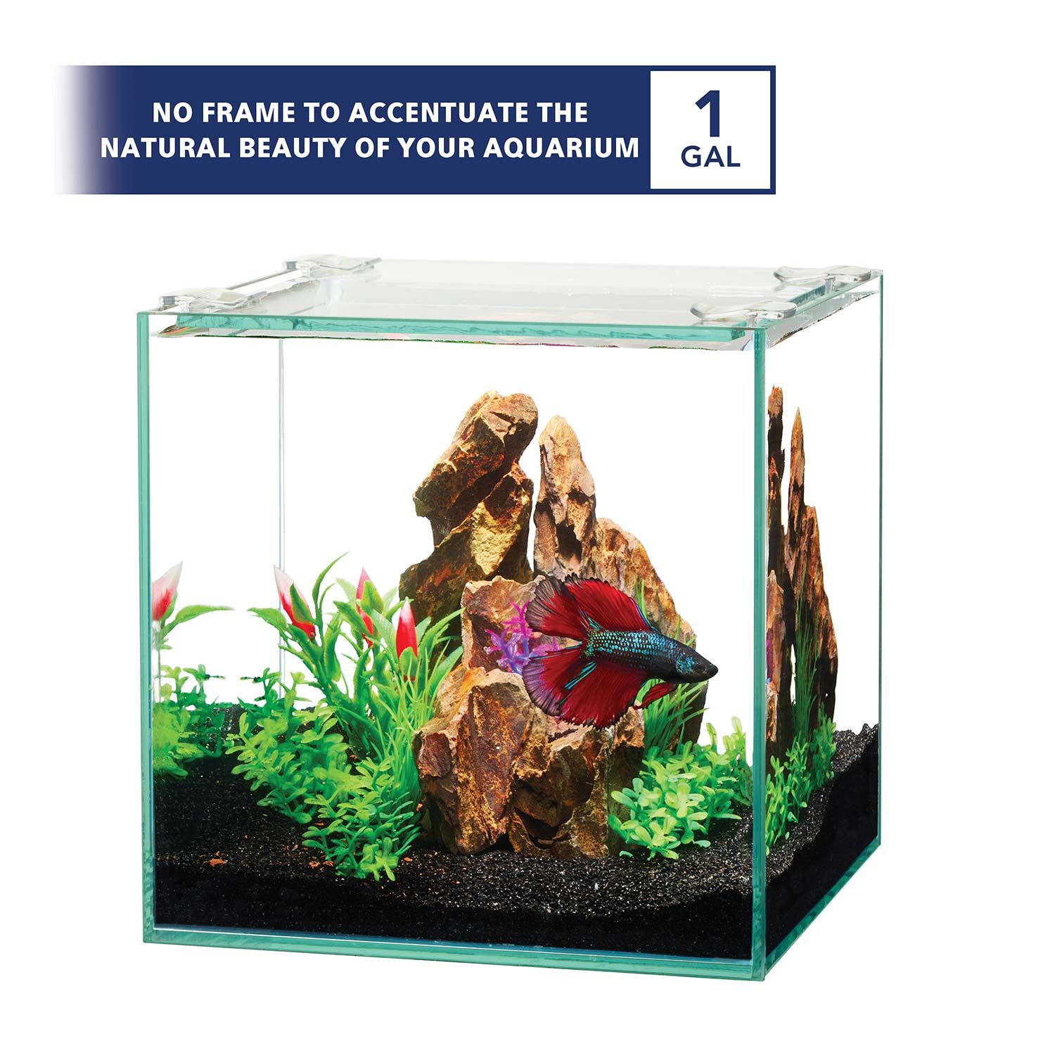 Aqueon Frameless Cube Desktop Aquarium