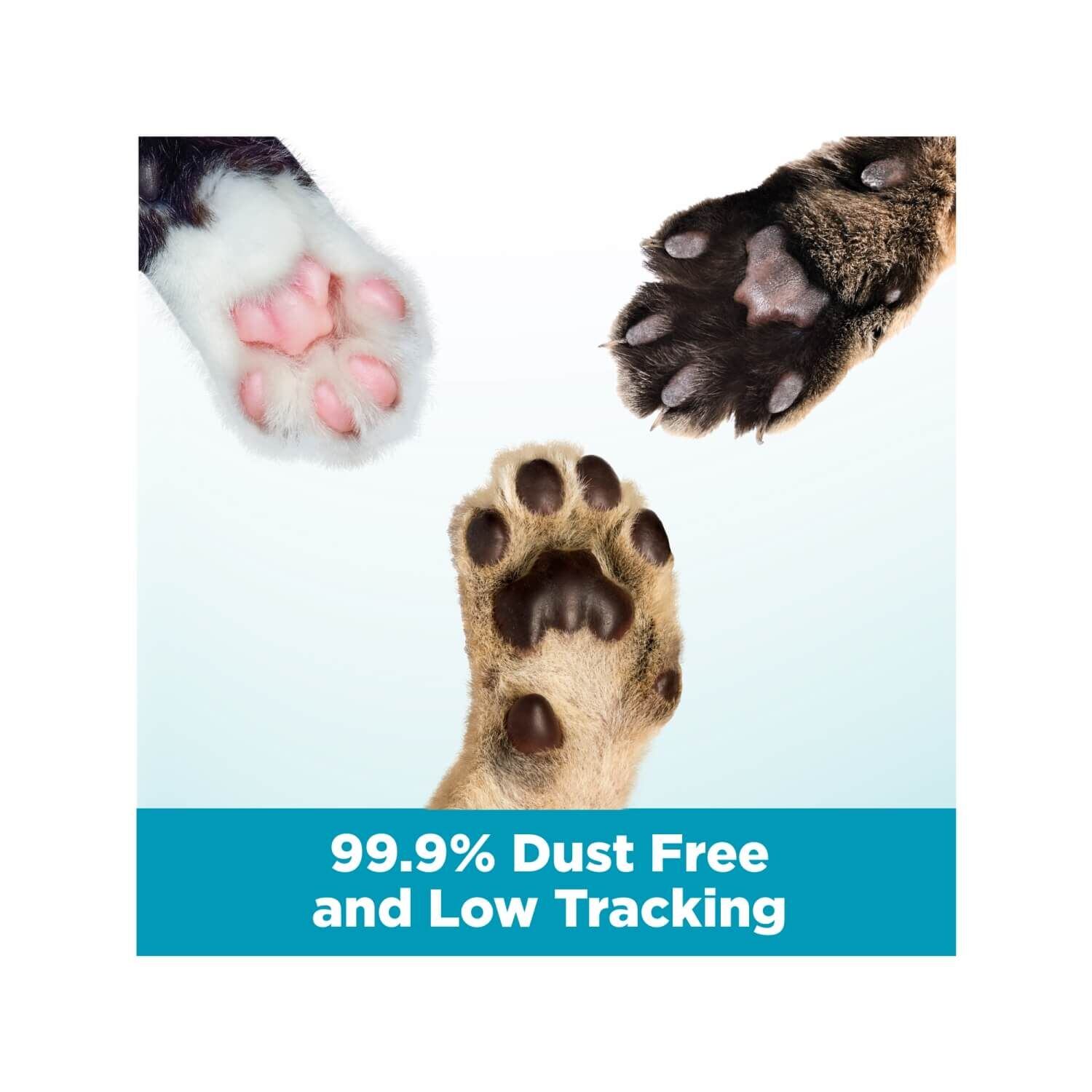 Arm & Hammer Clump & Seal Cloud Control Multi-Cat Cat Litter