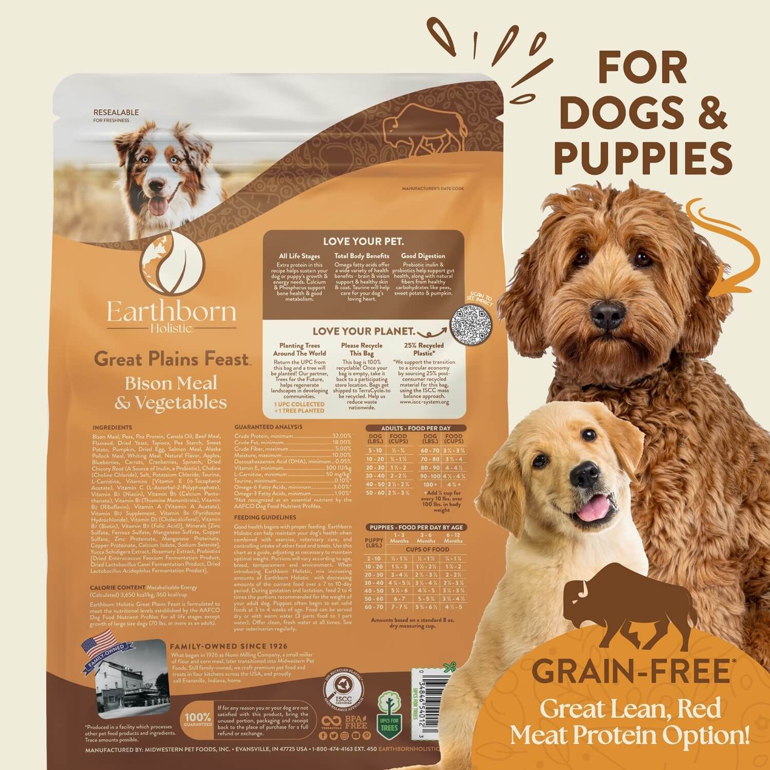 Earthborn Holistic Great Plains Feast Bison Meal & Vegetables Grain-Free Dry Dog Food