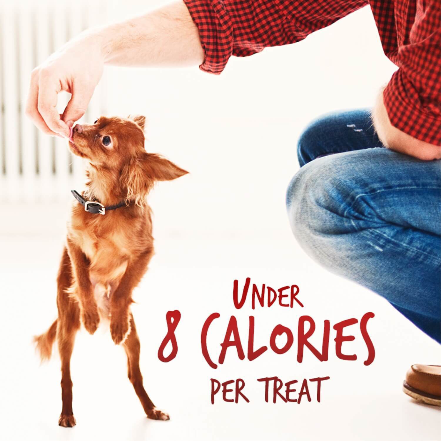 Fruitables Baked Crispy Bacon & Apple Flavor Healthy Low Calorie Dog Treats
