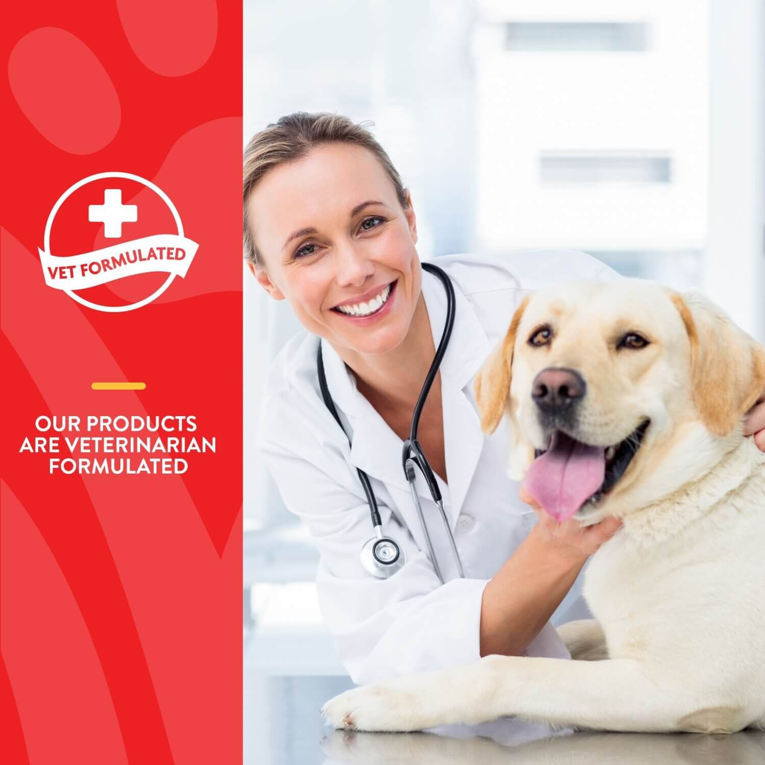 Naturvet Aller-911 Hot Spot Foam For Dogs & Cats, Allergy Aid Plus Aloe Vera