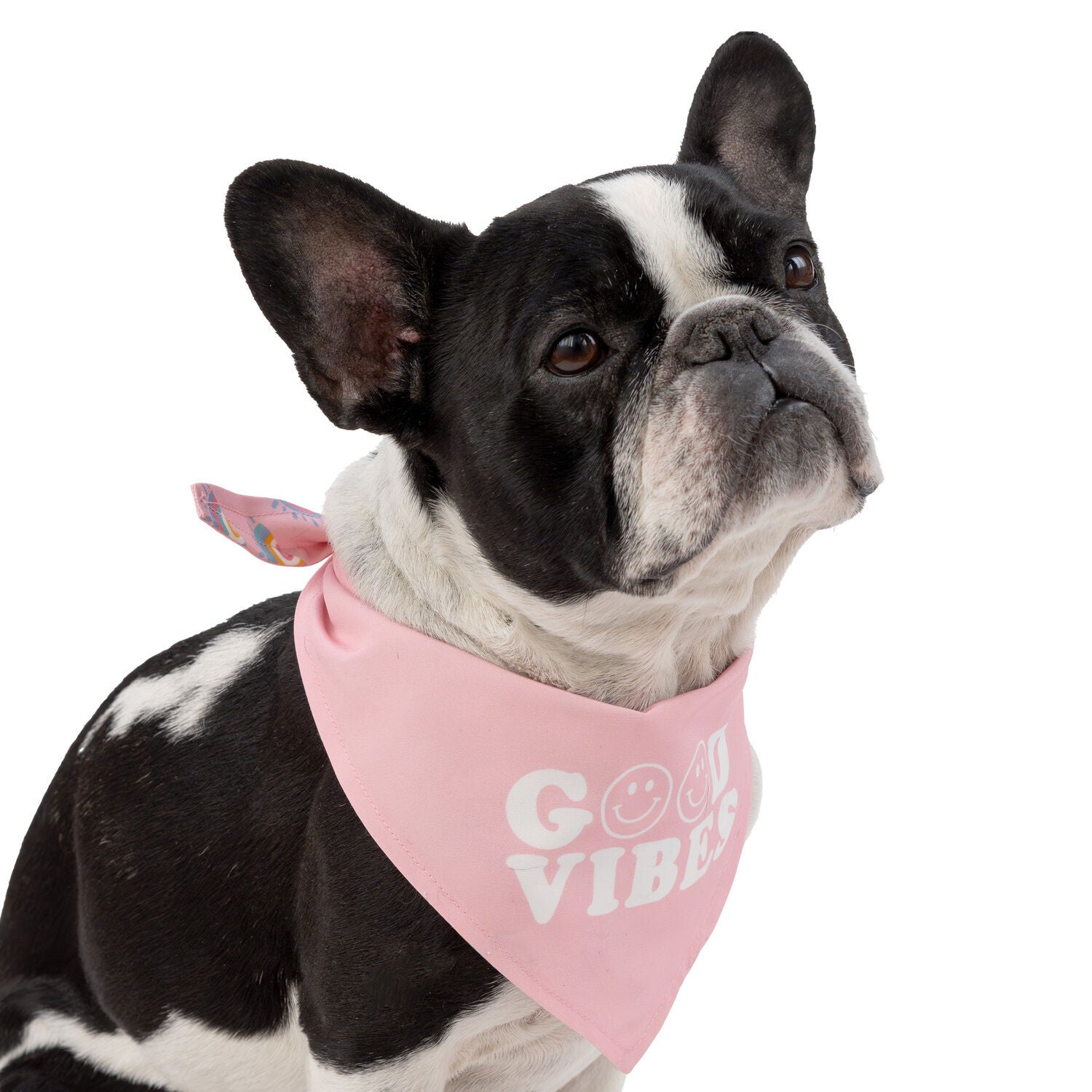 Simply Dog Reversible Good Vibes Dog Bandana, Pink