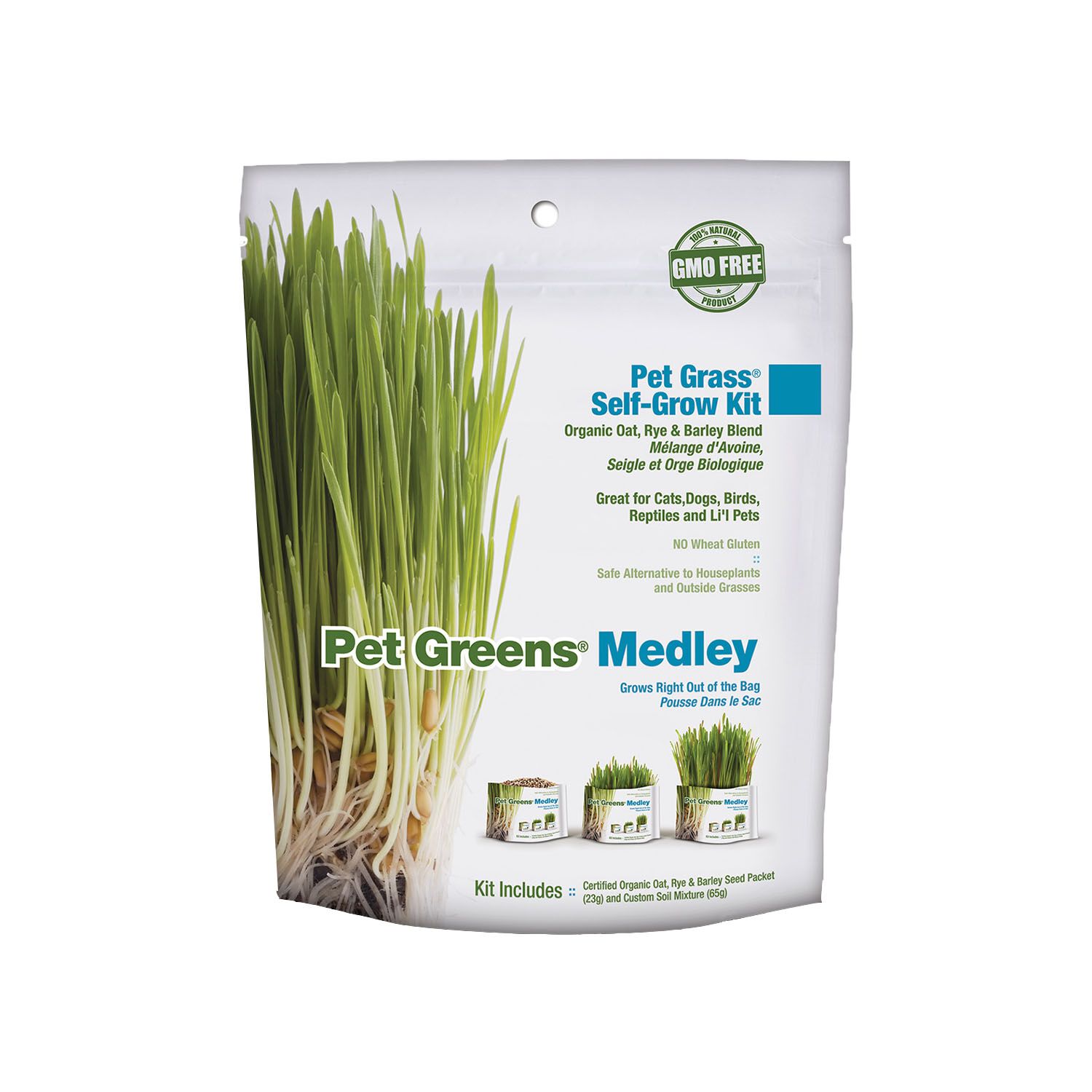Pet Greens Cat Grass Easy Self-Grow Organic Medley Cat Treat Kit