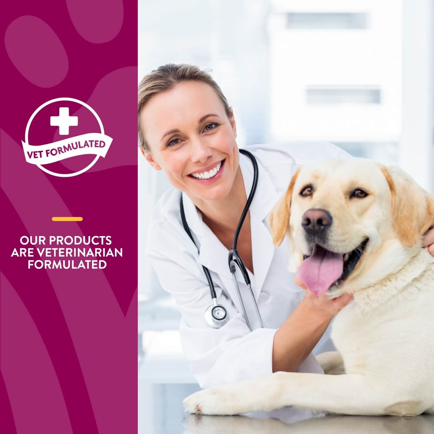 Naturvet Glucosamine Ds +Chondroitin & Msm Moderate Joint Care Soft Chew Supplements For Dogs & Cats