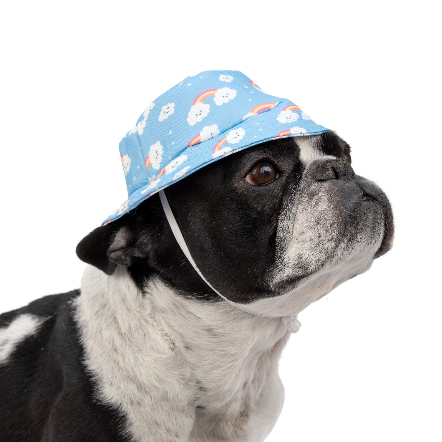 Simply Dog Rainbow & Clouds Bucket Hat For Dogs
