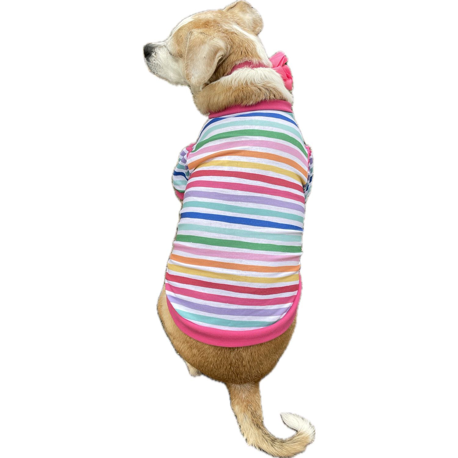 Simply Dog Puff Sleeve Striped Dog Shirt, Rainbow Colors