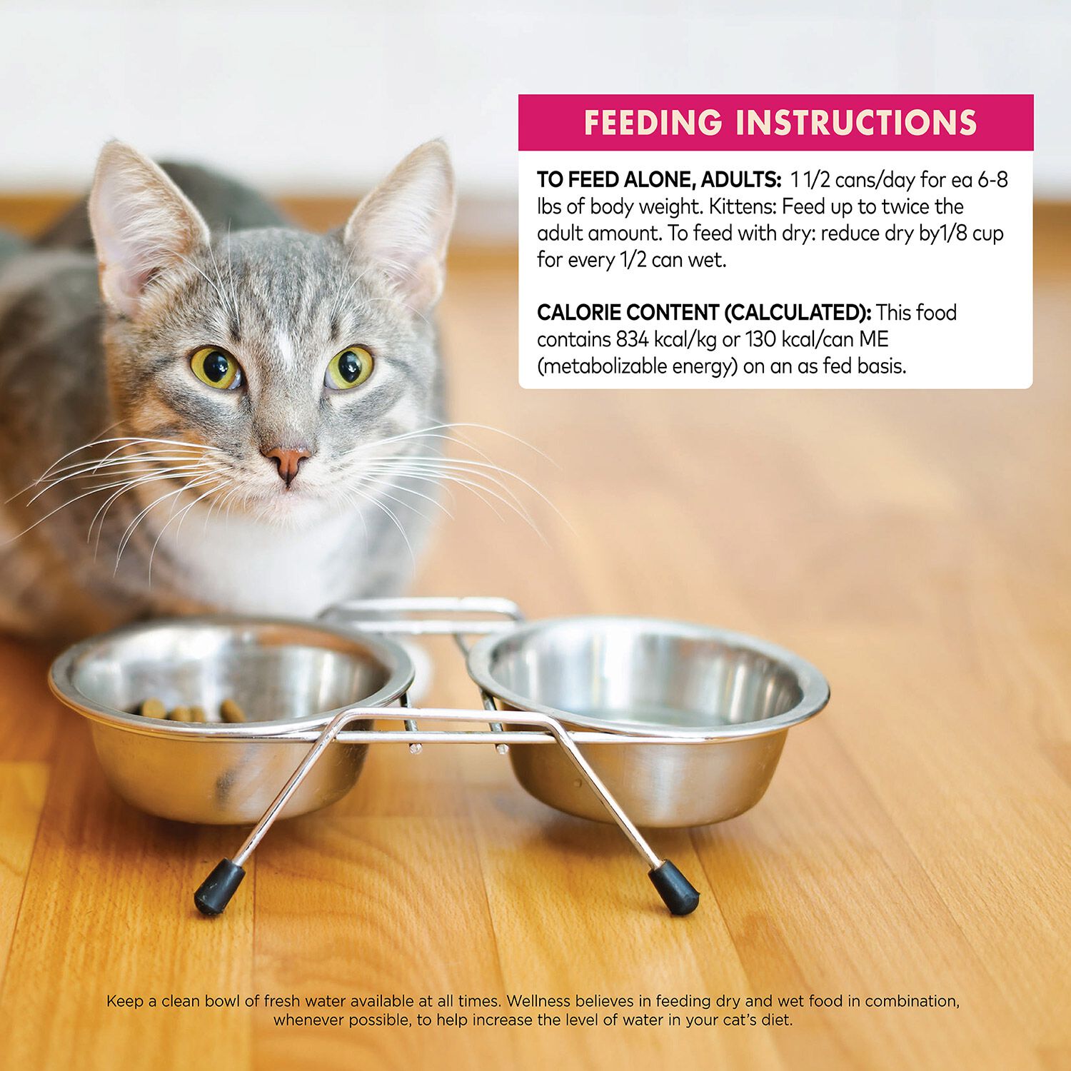 Wellness Core Hearty Cuts Natural Grain Free Whitefish & Salmon Recipe Wet Cat Food