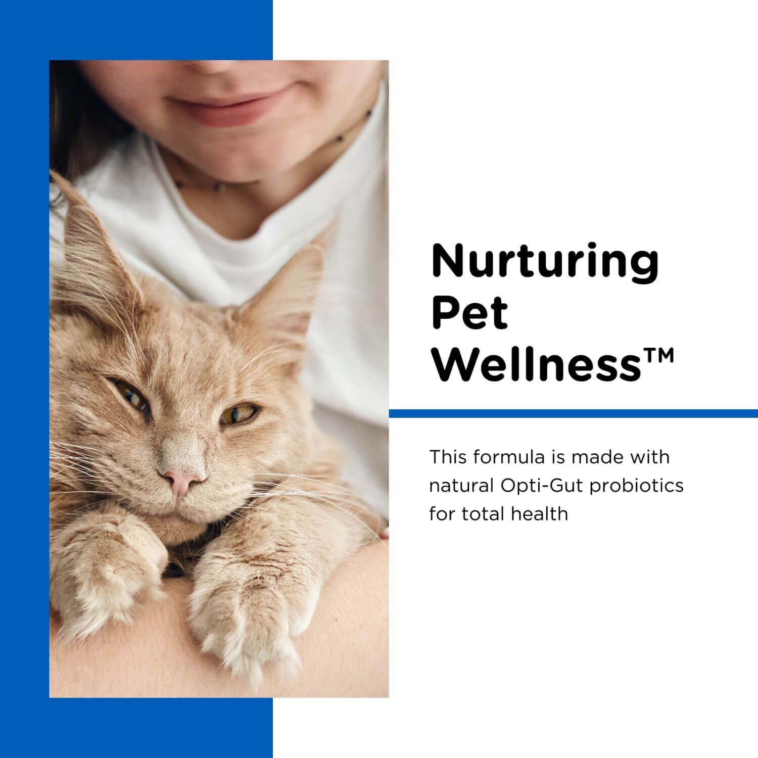 Nutri-Vet Milk Replacement Powder With Probiotics For Kittens