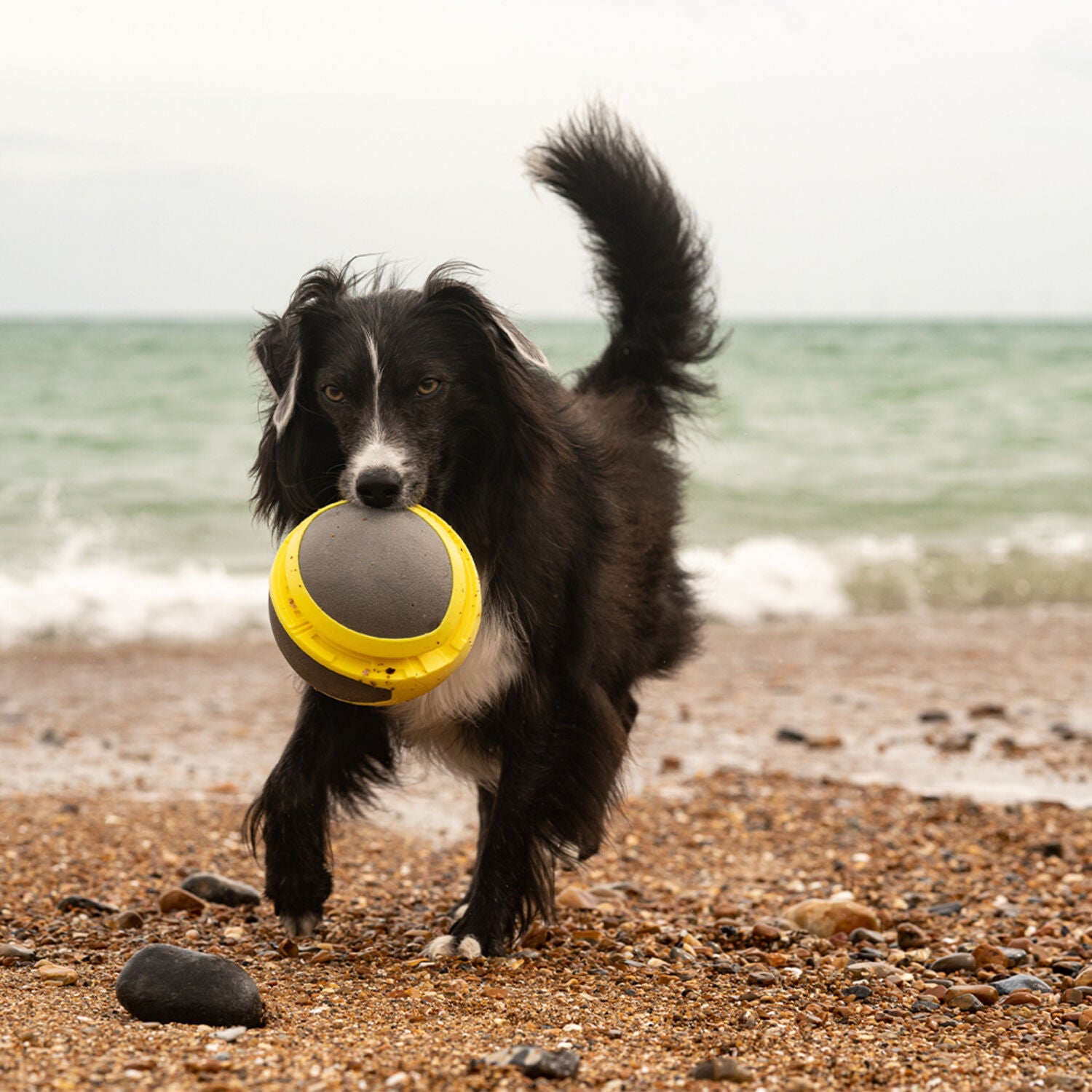 Frubba Play Mega Ball Durable Dog Toy