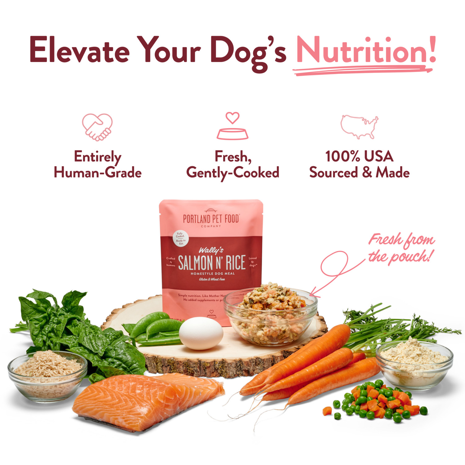 Portland Pet Food Company Wally's Salmon N' Rice Homestyle Gently Cooked Wet Dog Food