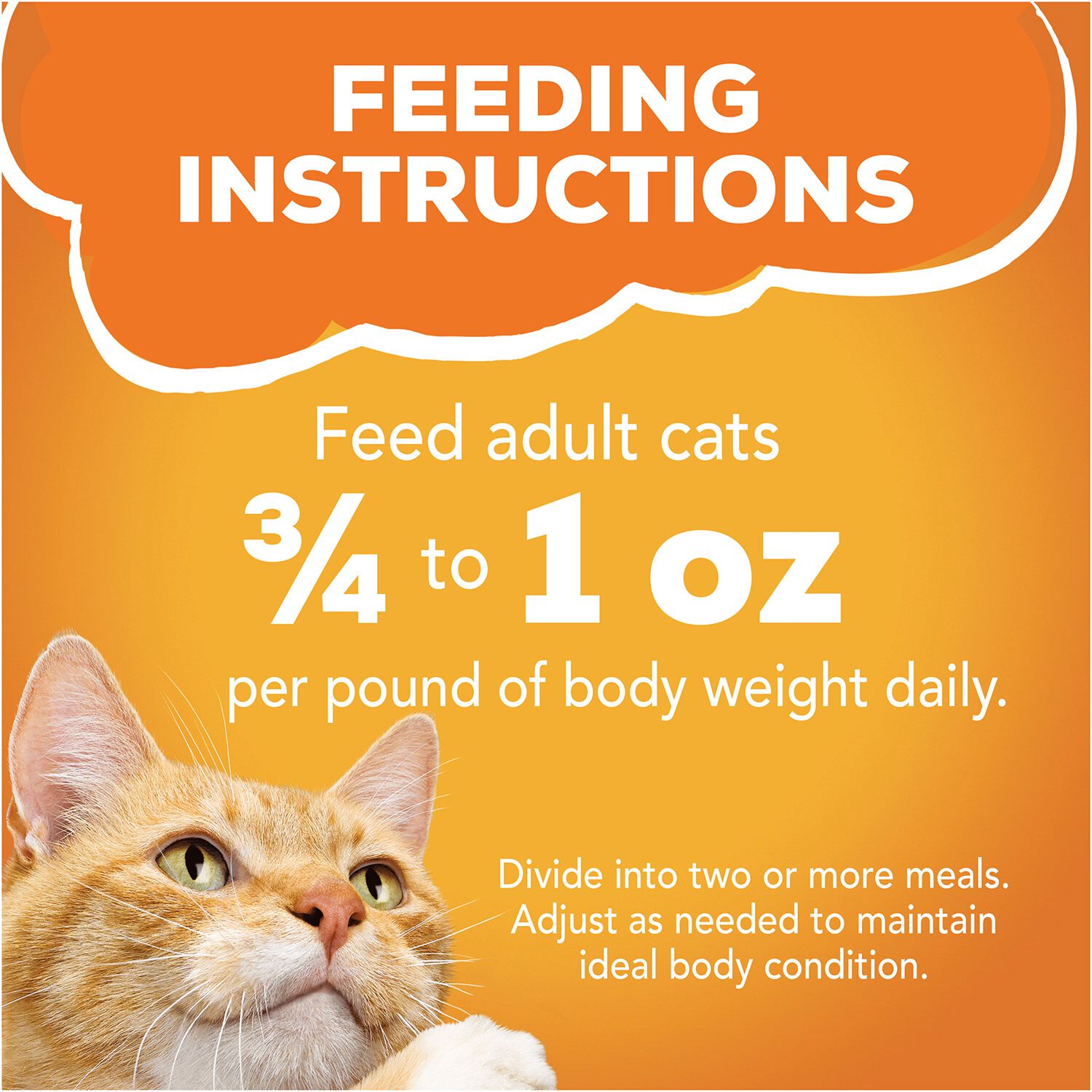 Friskies Chicken Lovers Wet Cat Food Variety Pack With 32 5.5 Oz Cans