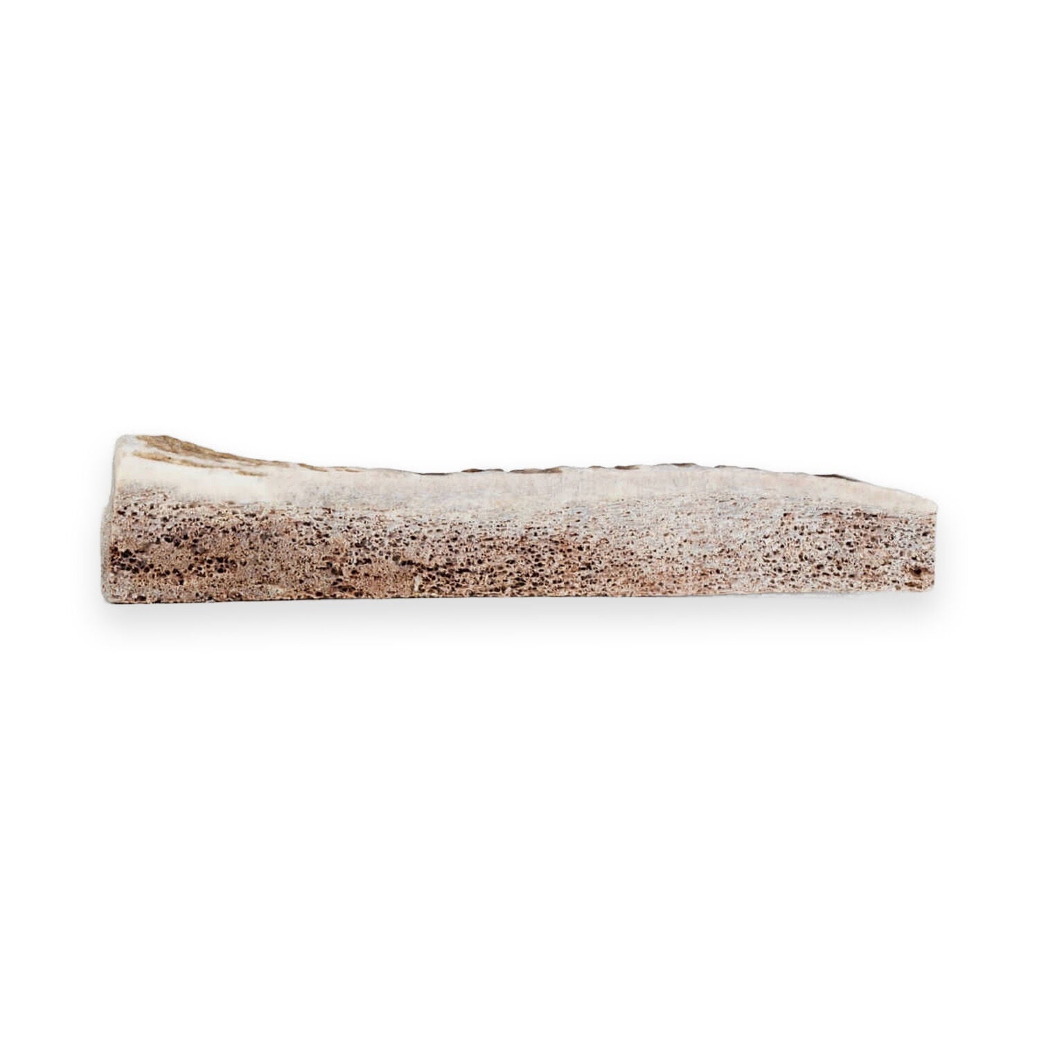 Primal Stag Antler Durable Dog Treat, Medium