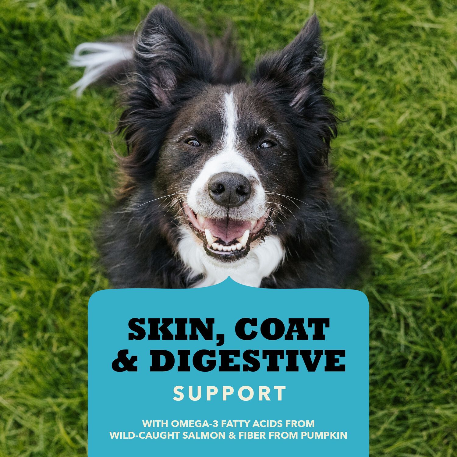 Acana Chewy Strips Skin, Coat, & Digestive Support Dog Jerky Treats, Salmon Recipe, 4Oz