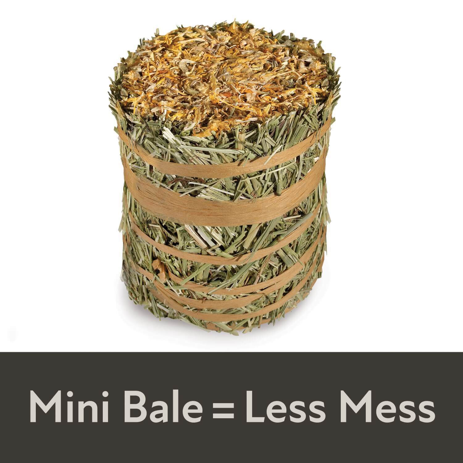 Kaytee Field+Forest By Mini Hay Bales, Marigold