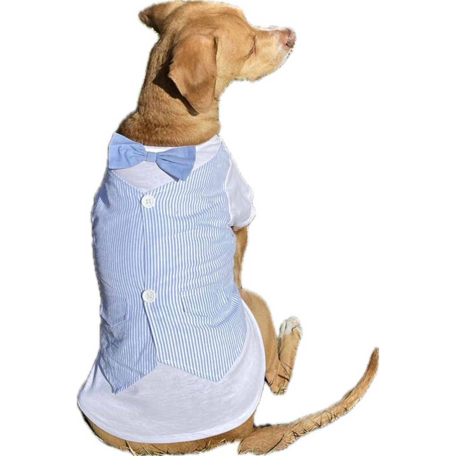 Simply Dog Bowtie & Vest Seer Sucker Dog Shirt, Blue & White