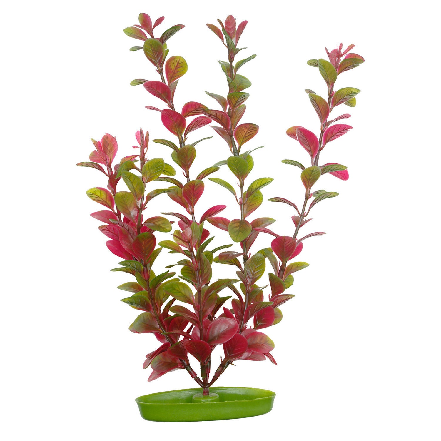Aquascaper Red Ludwigia Aquarium Plant