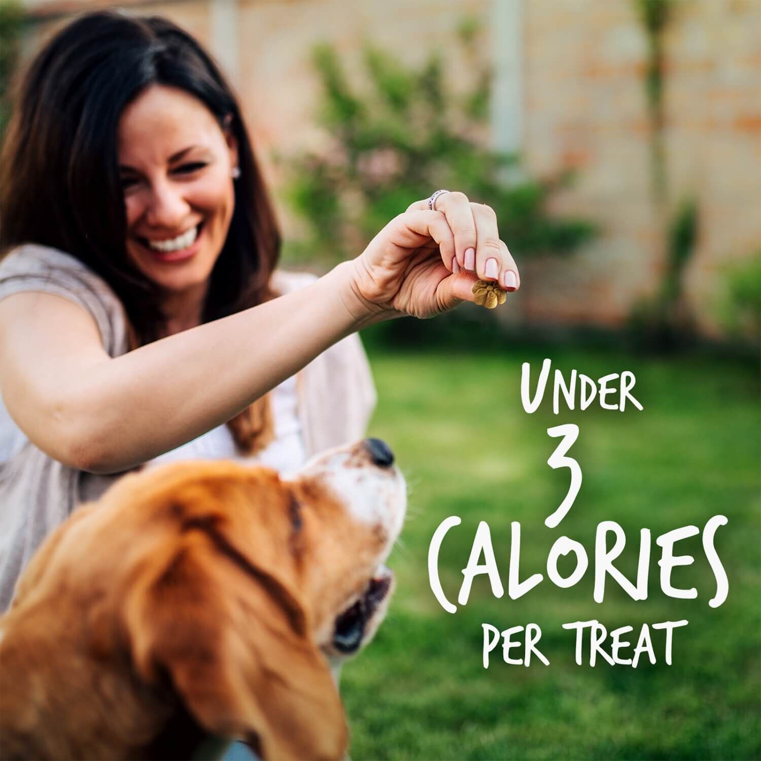 Fruitables Skinny Minis Grain Free Low Calorie Dog Treats, Pumpkin & Blueberry Flavor