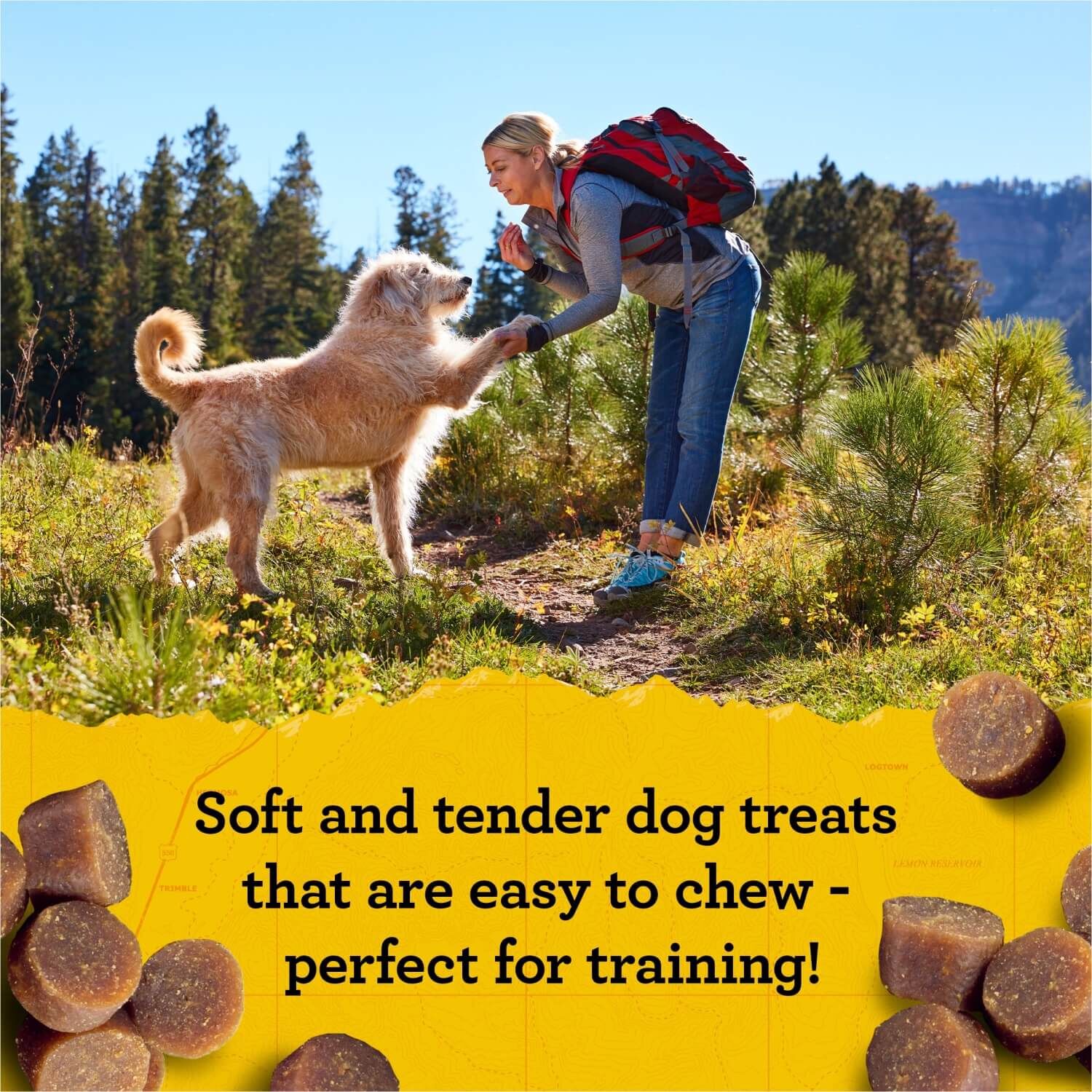 Zuke's Mini Naturals Soft & Chewy Dog Training Treats With Beef