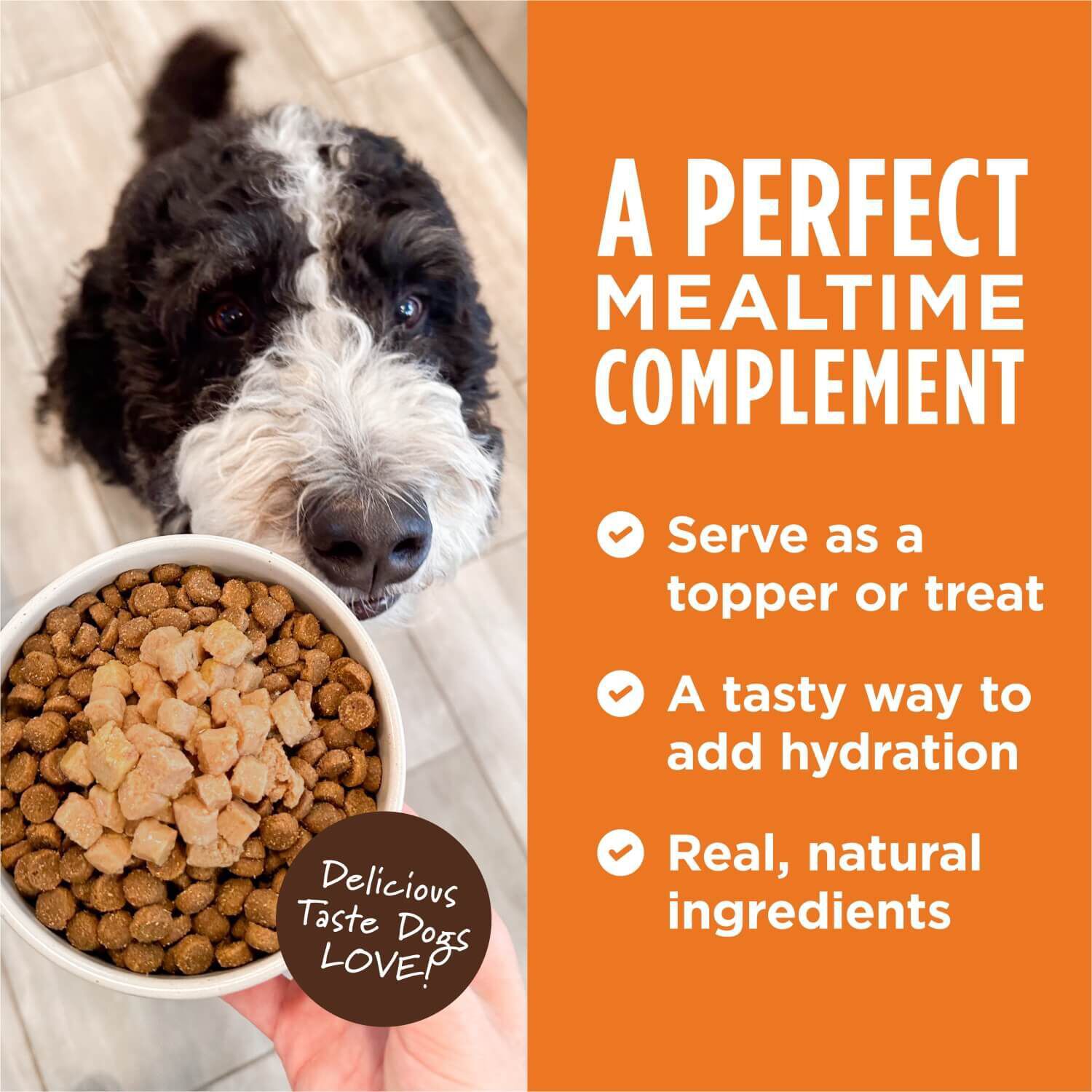 Instinct Healthy Cravings Grain Free Beef In Gravy Dog Food Topper