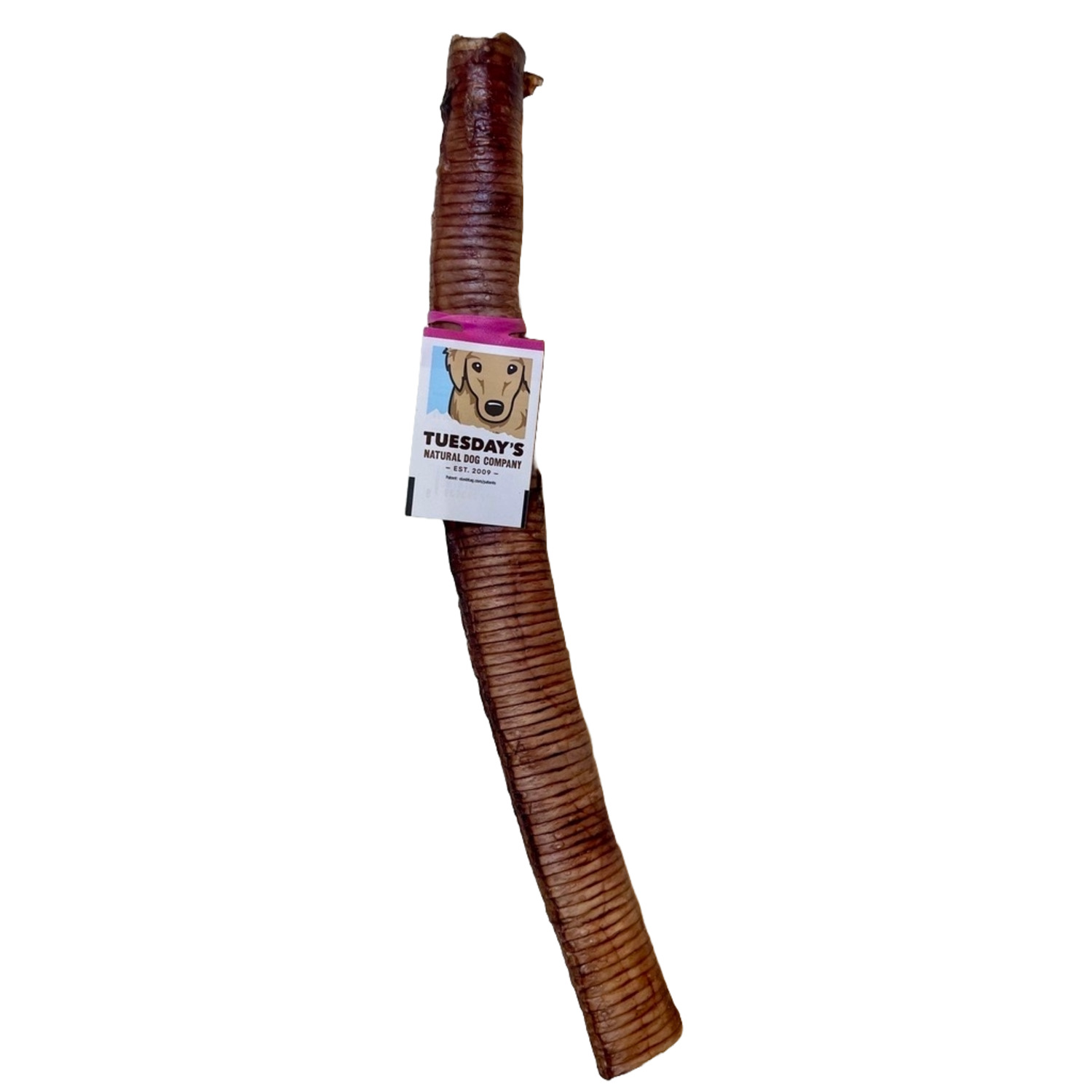 Performatrin Ultra Ostrich Trachea Natural Dog Treat, 12"