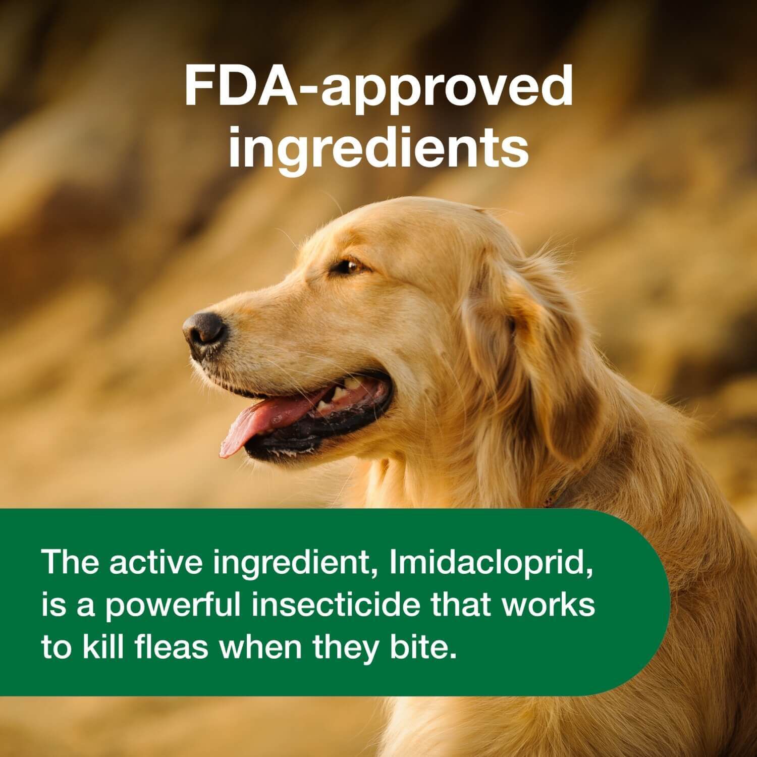 Advantus Chewable Oral Flea Treatment For Dogs, 23-110 Lbs