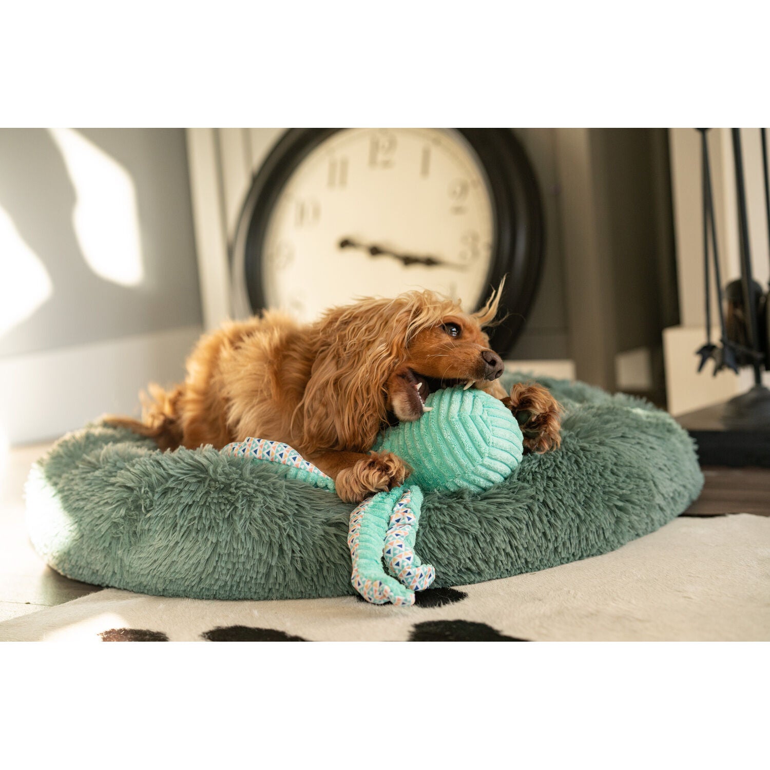 Great & Small Cuddle Me Knot Plush Octopus Squeaky Dog Toy