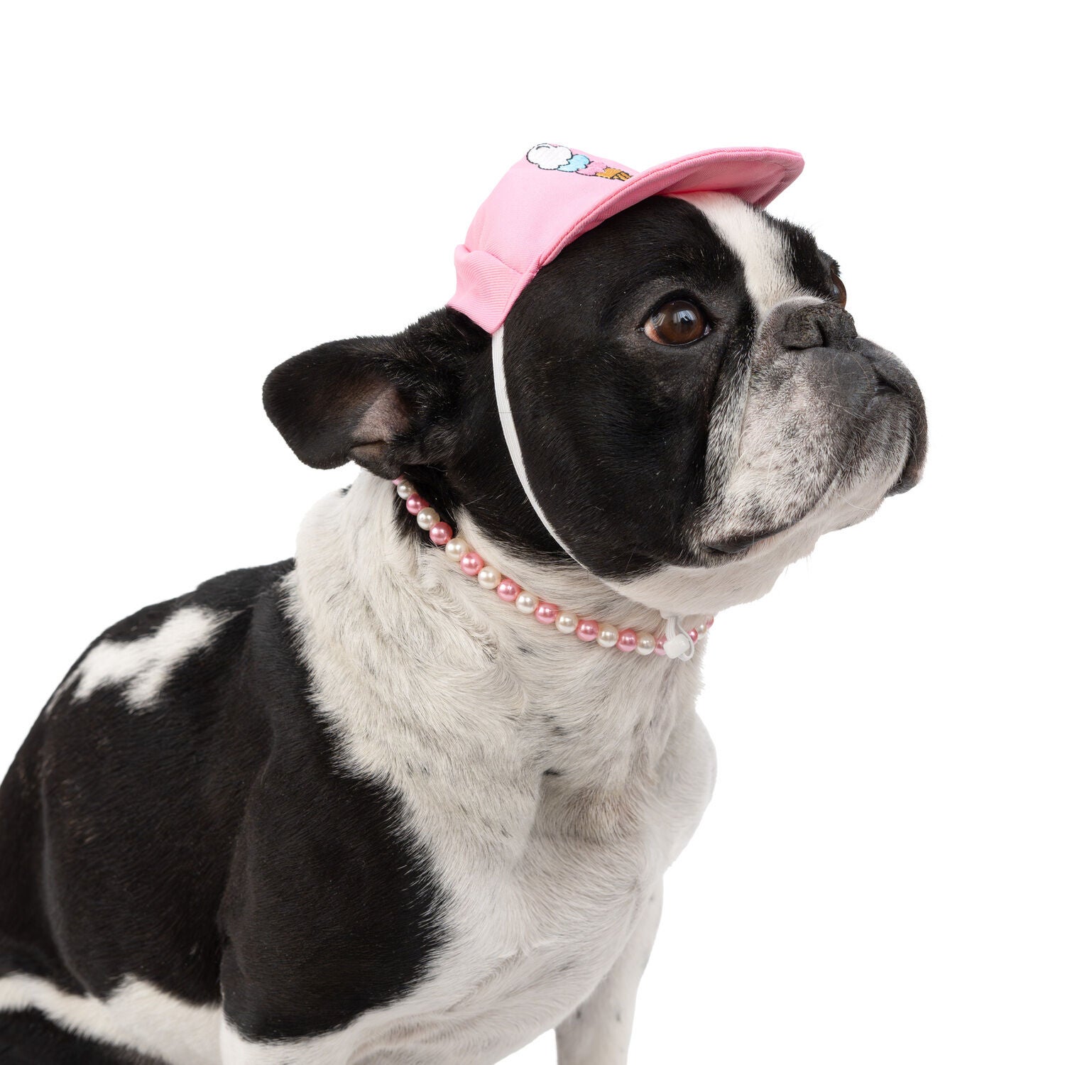 Simply Dog Pink Ice Cream Baseball Cap Dog Hat
