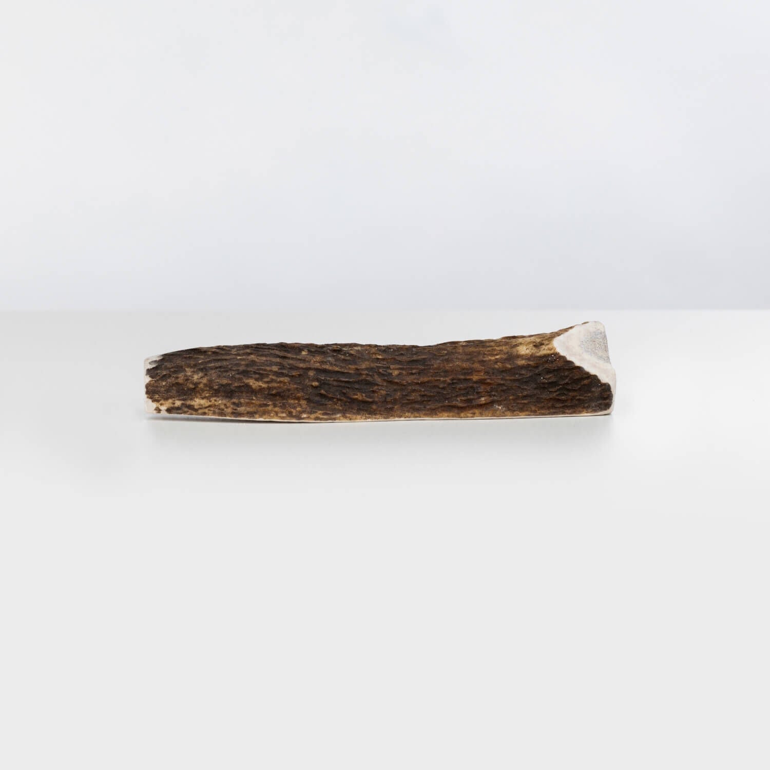 Primal Stag Antler Durable Dog Treat, Medium