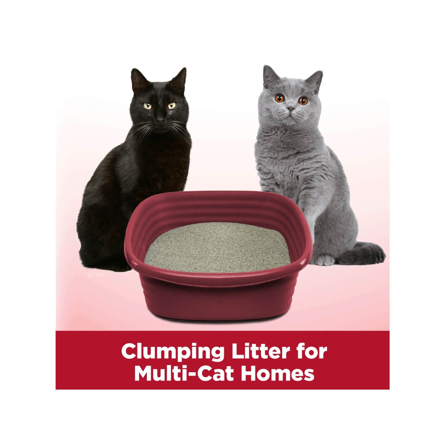 Arm & Hammer Clump & Seal Multi-Cat Odor Controlling Cat Litter