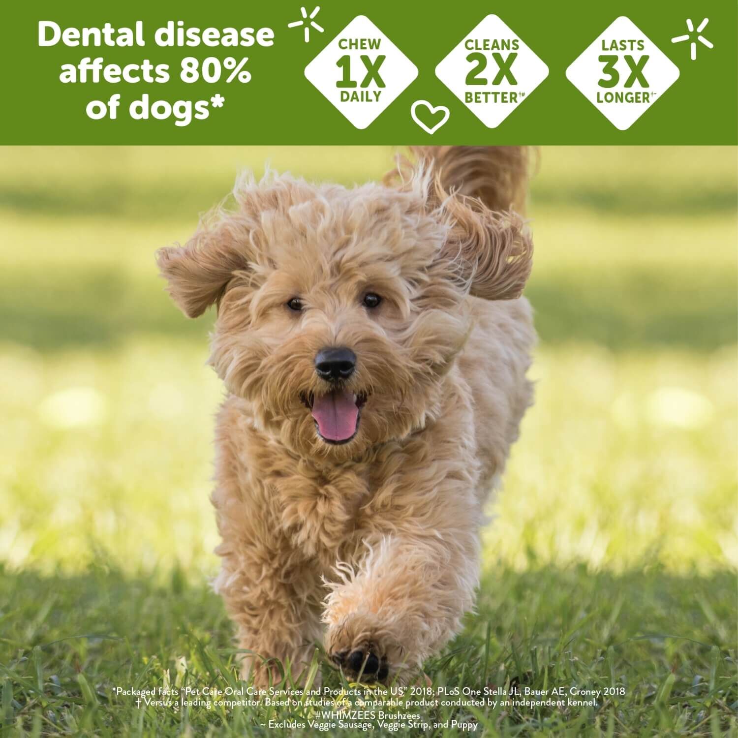 Whimzees Puppy Natural Grain Free Dental Chews For Dogs, Medium / Large Breed, 14 Count