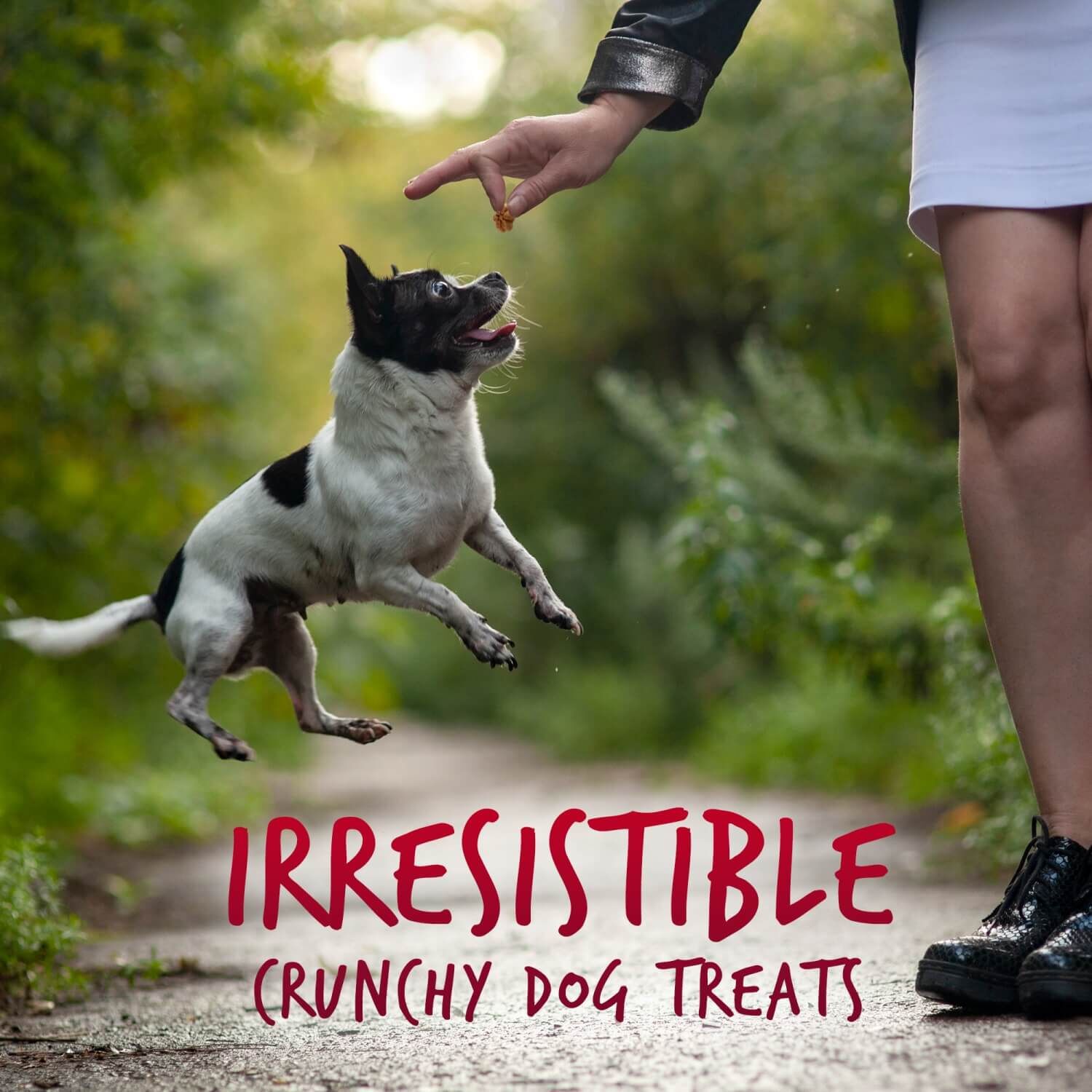 Fruitables Skinny Minis Healthy Low Calorie Dog Treats, Apple & Bacon Flavor
