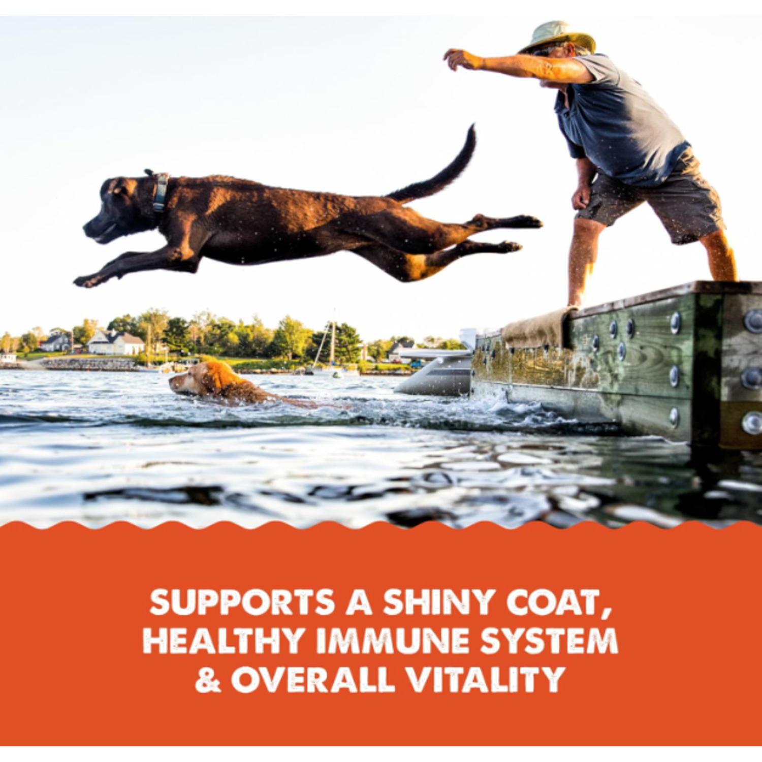 Grizzly Salmon Oil Plus Omega 3-6-9 Food Supplement For Dogs And Cats, 32-Ounce